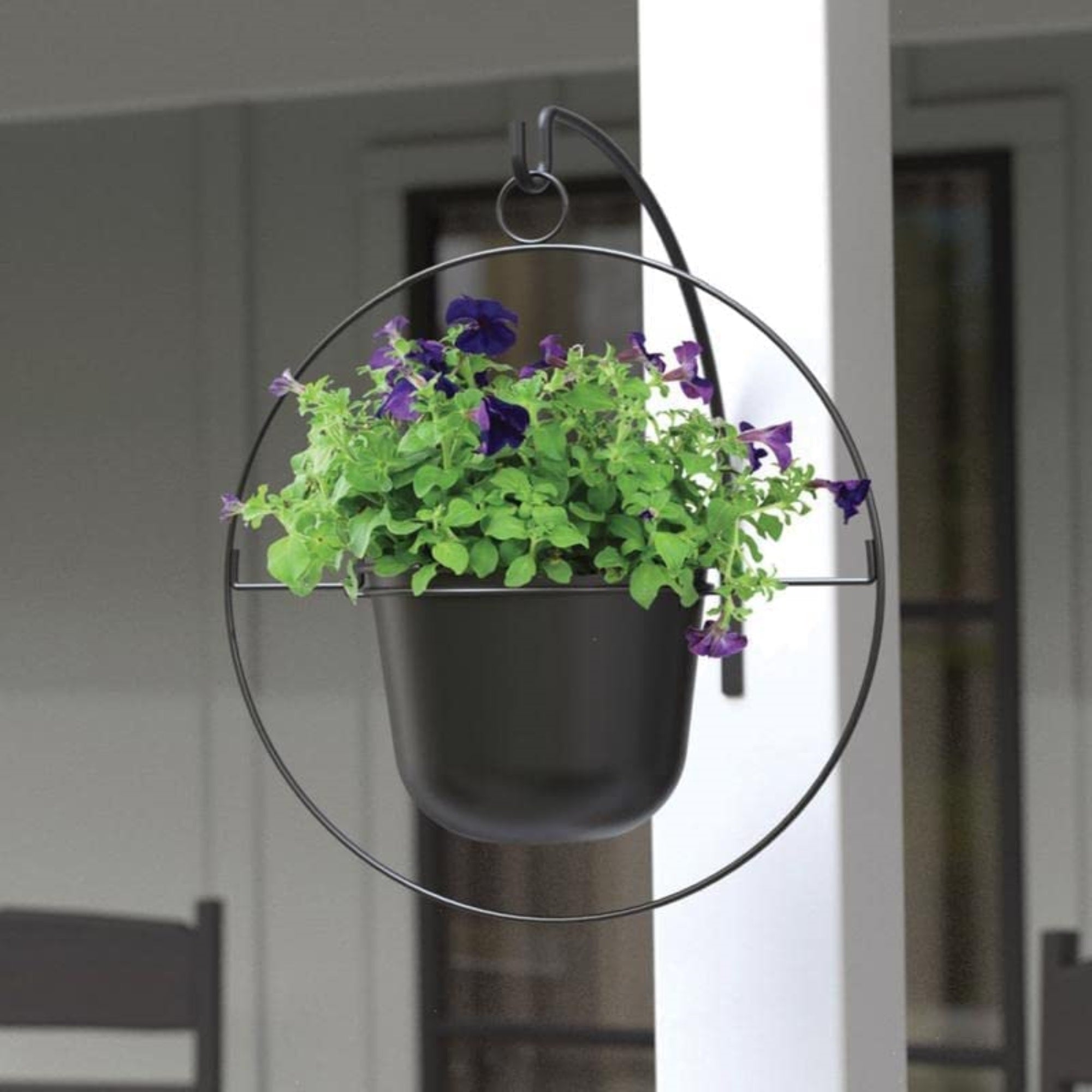 Panacea Metal Round Indoor Outdoor Ring Hanging Flower Pot Planter, Black, 17"