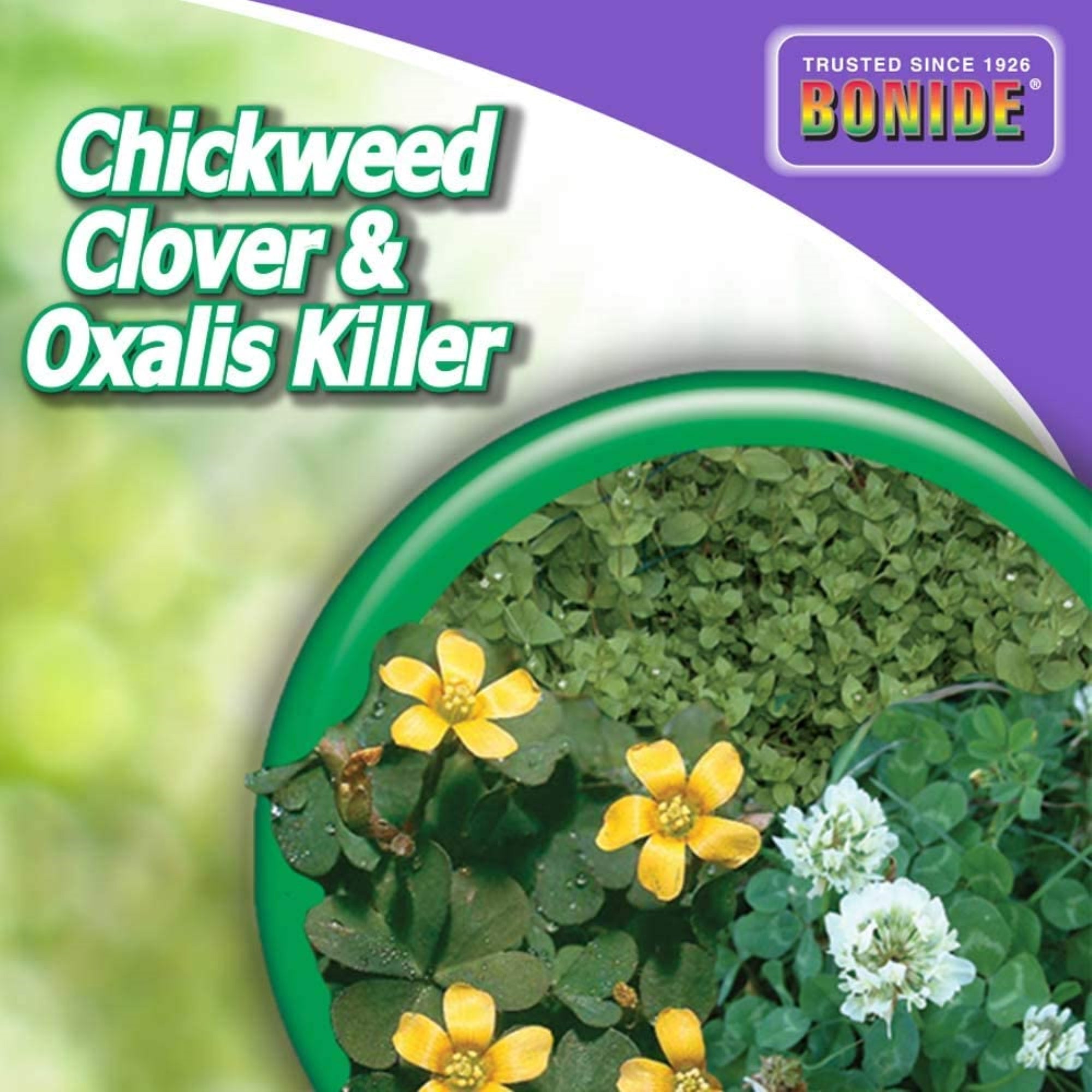 Bonide Ready-to-Use Chickweed, Clover & Oxalis Killer, 32 fl oz