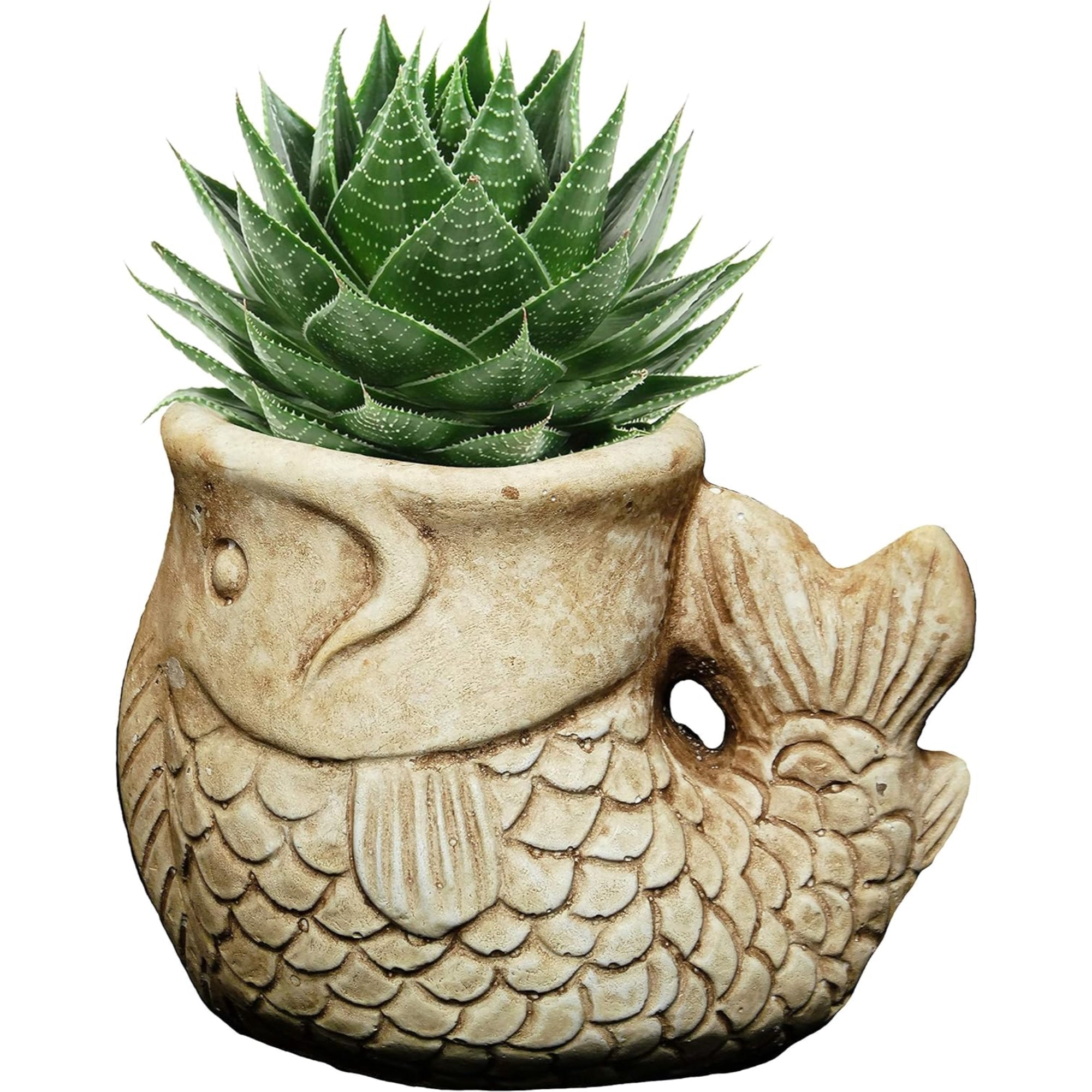 Classic Home and Garden Indoor/Outdoor Cement Succulent Planter with Drainage Hole, Largemouth Bass