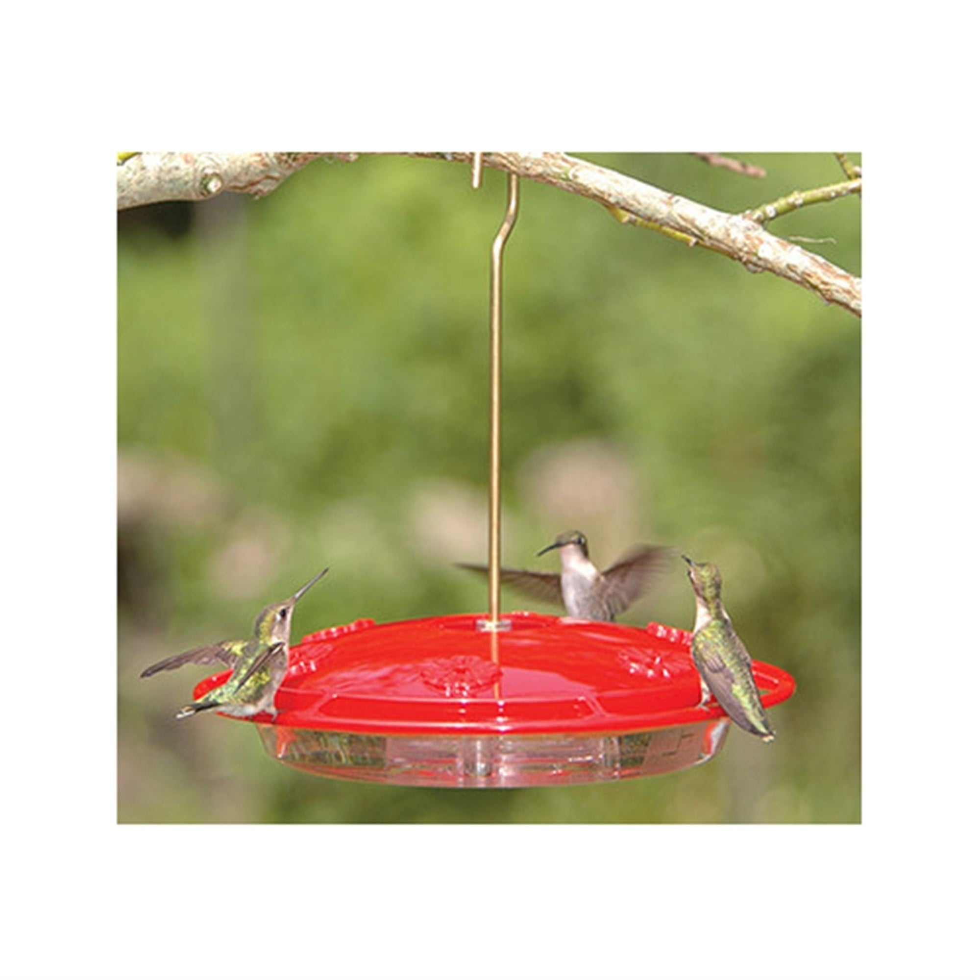 Aspects Hummzinger Excel Capacity Hummingbird Feeder (16 oz)