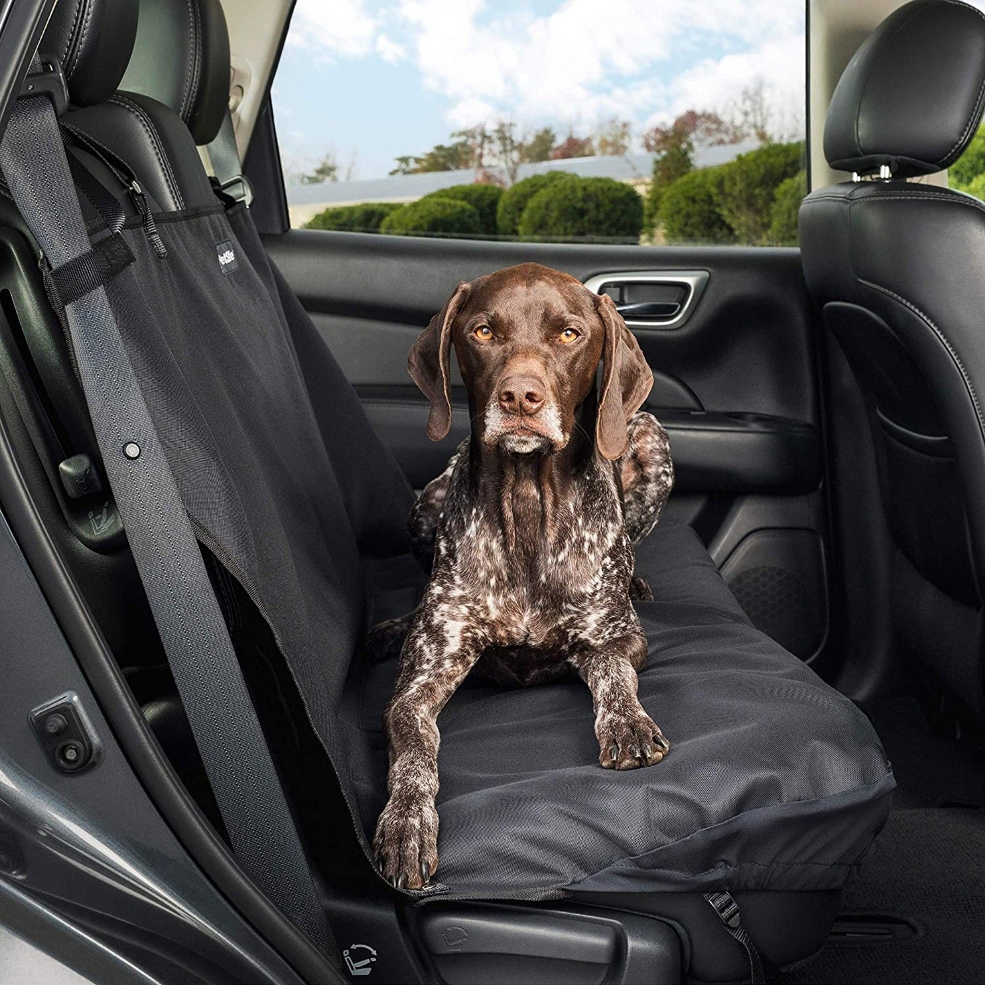 PetSafe Happy Ride Bench Seat Cover, Fits Most Vehicle, Waterproof, Black