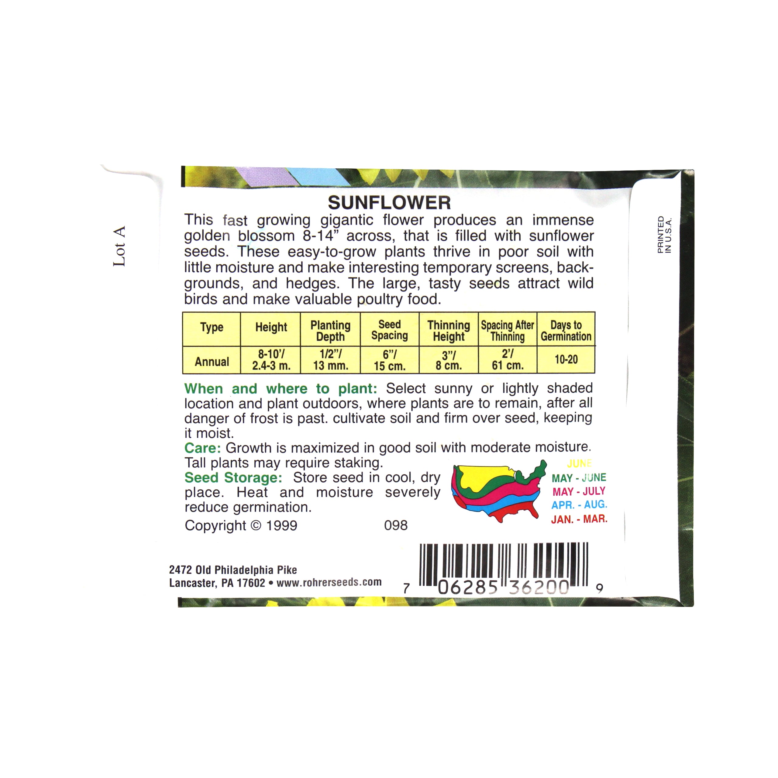 Rohrer Seeds Sunflower, Mammoth Russian, Approx 50 Seeds/Packet