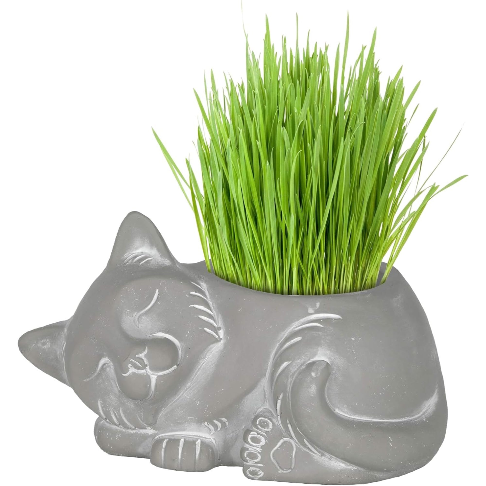 Classic Home and Garden Indoor/Outdoor Cement Succulent Planter with Drainage Hole, Sleeping Cat