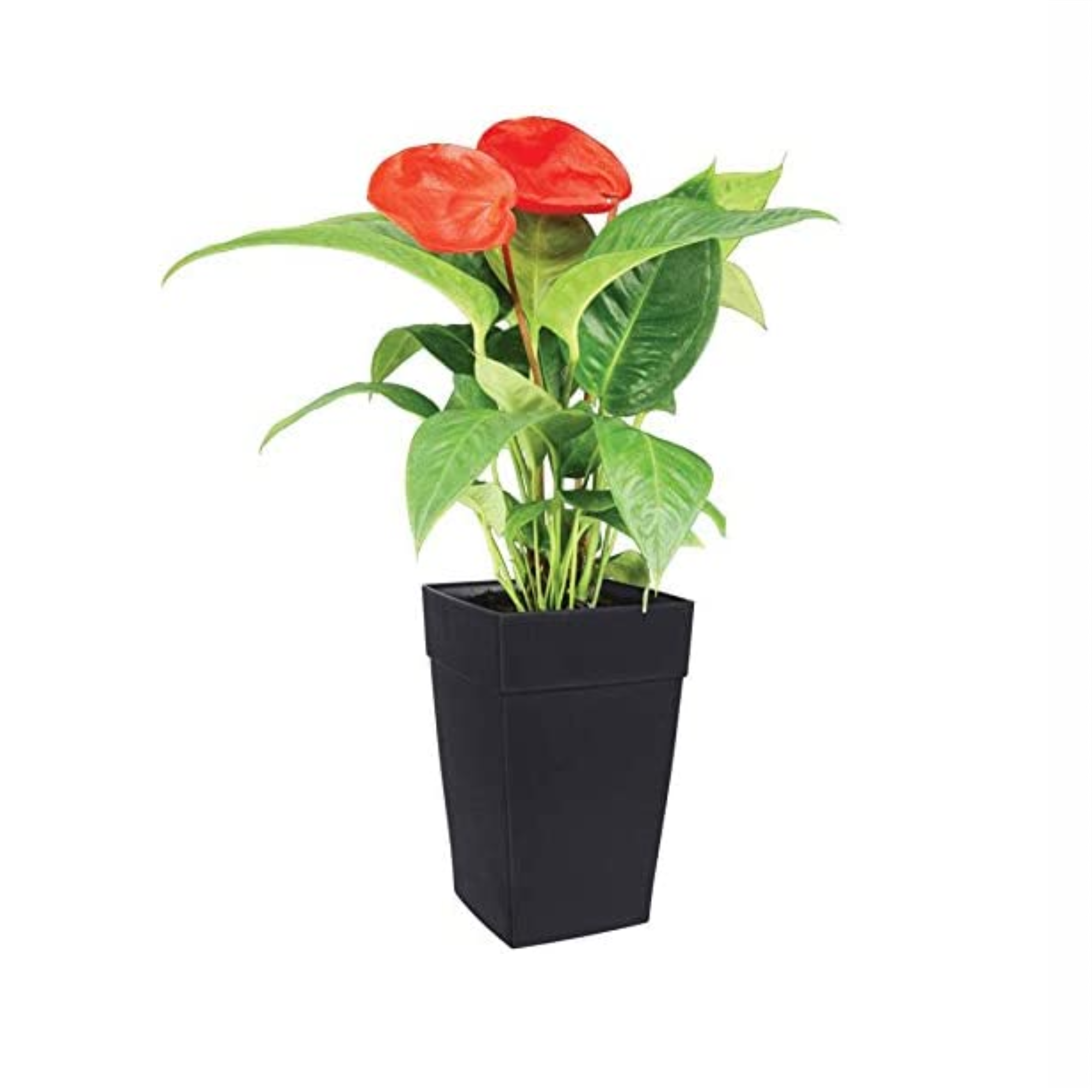 DCN Square Plastic Harmony Self-Watering Tall Planter, Black, 12" x 18"