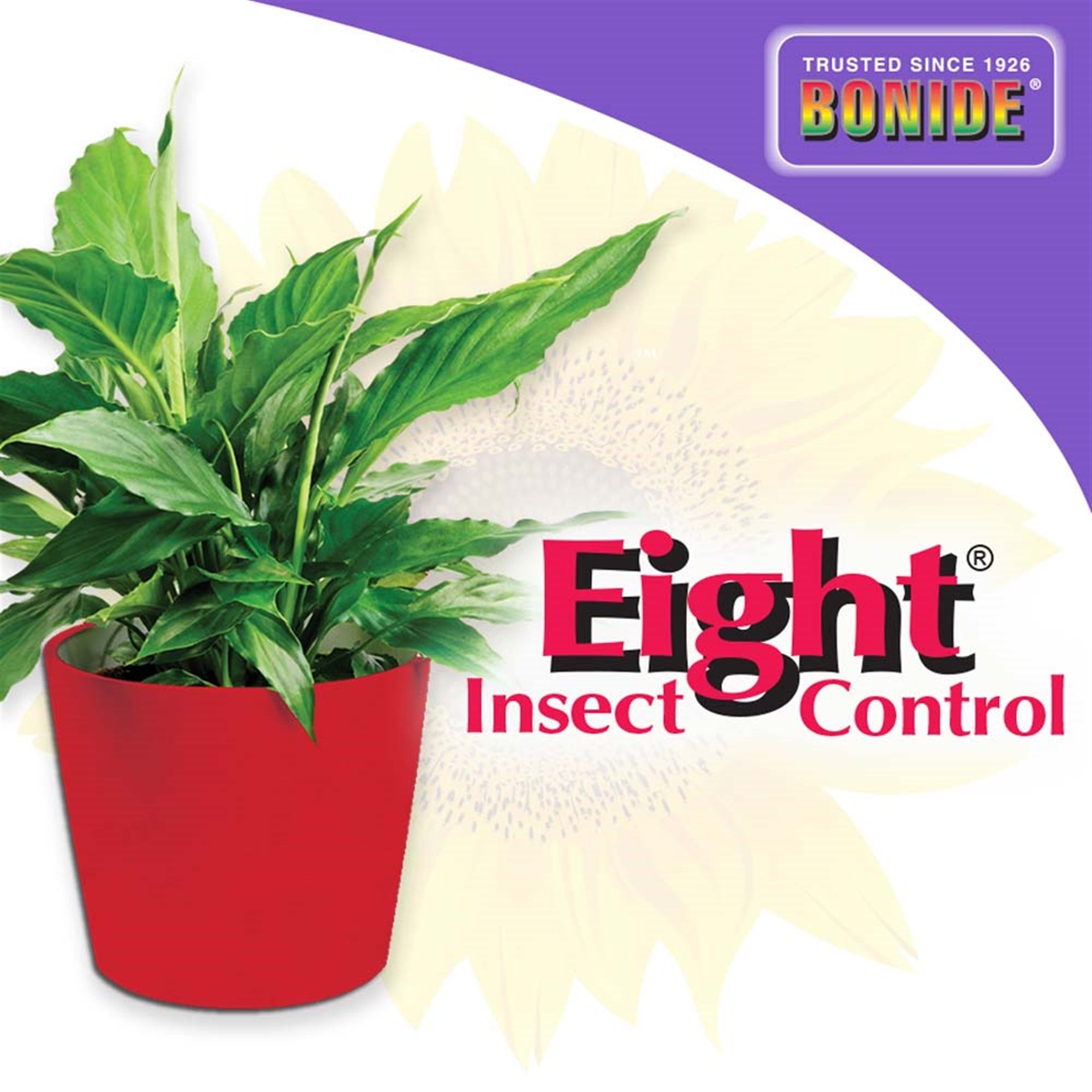 Bonide Eight Insect Control Home & Garden RTU Spray Application, 12 oz