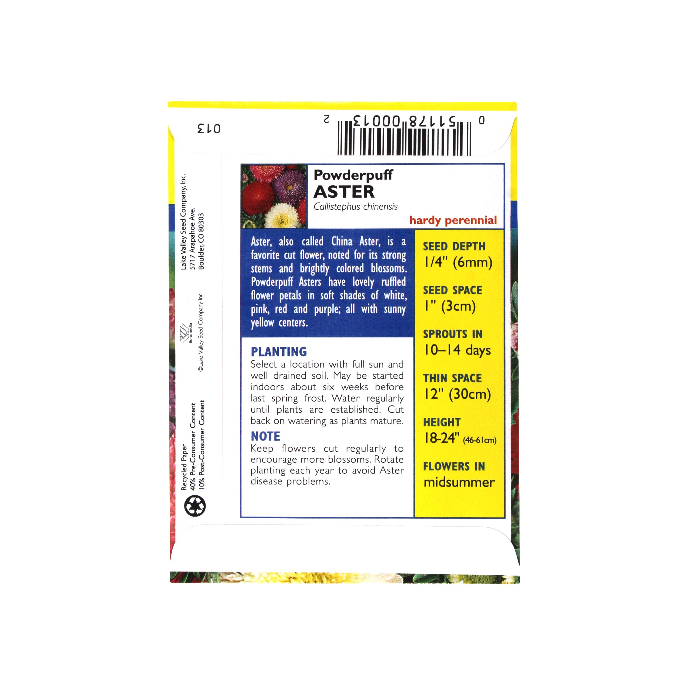 Lake Valley Seed Aster, Powderpuff, 0.5g