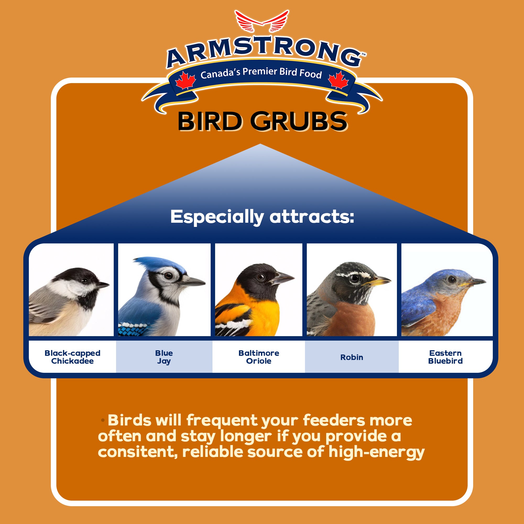 Armstrong Wild Bird Food Mealworm Alternative Bird Grubs Bird Seed Blend
