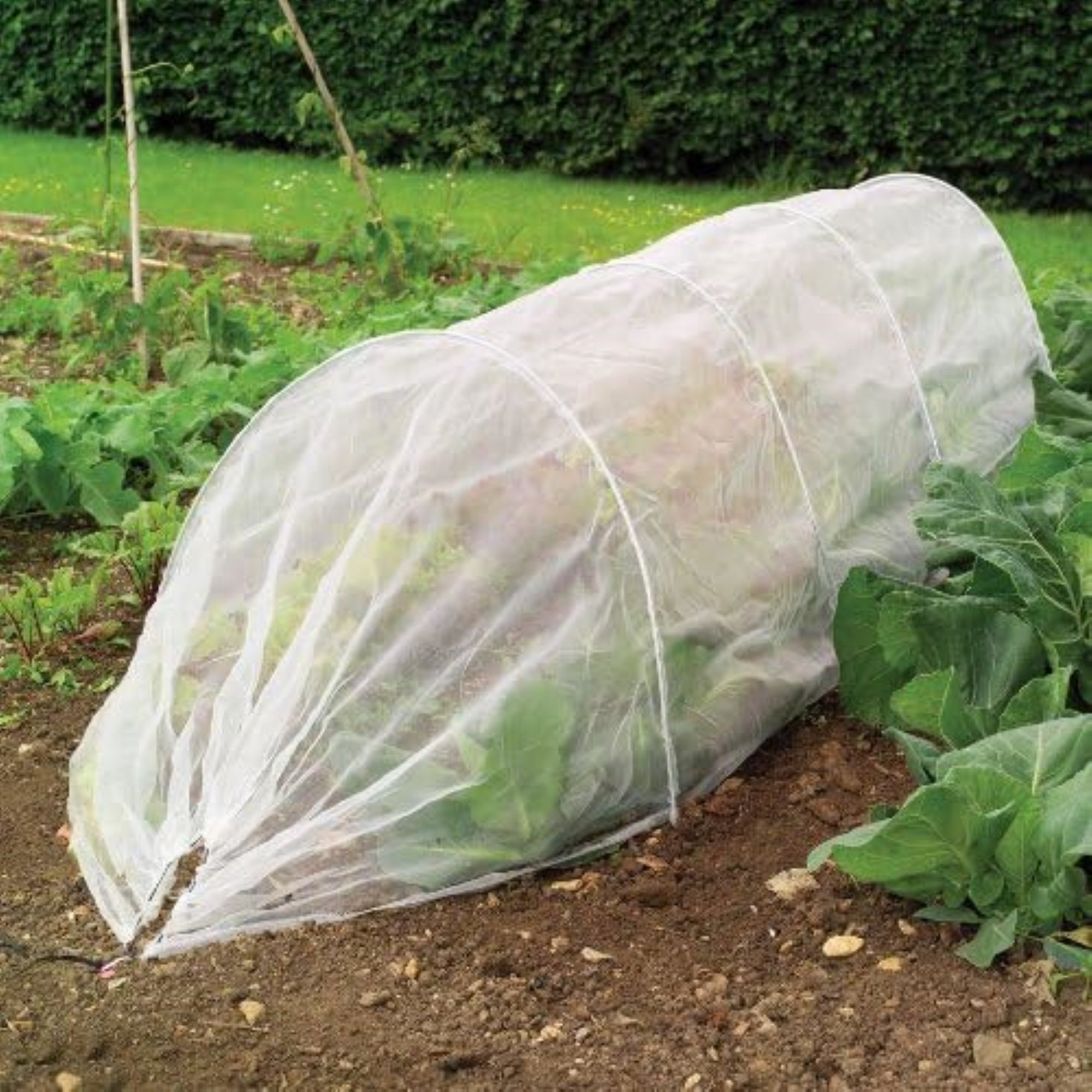 Gardman Giant Tunnel Cloche, 6' 6" L x 2' H