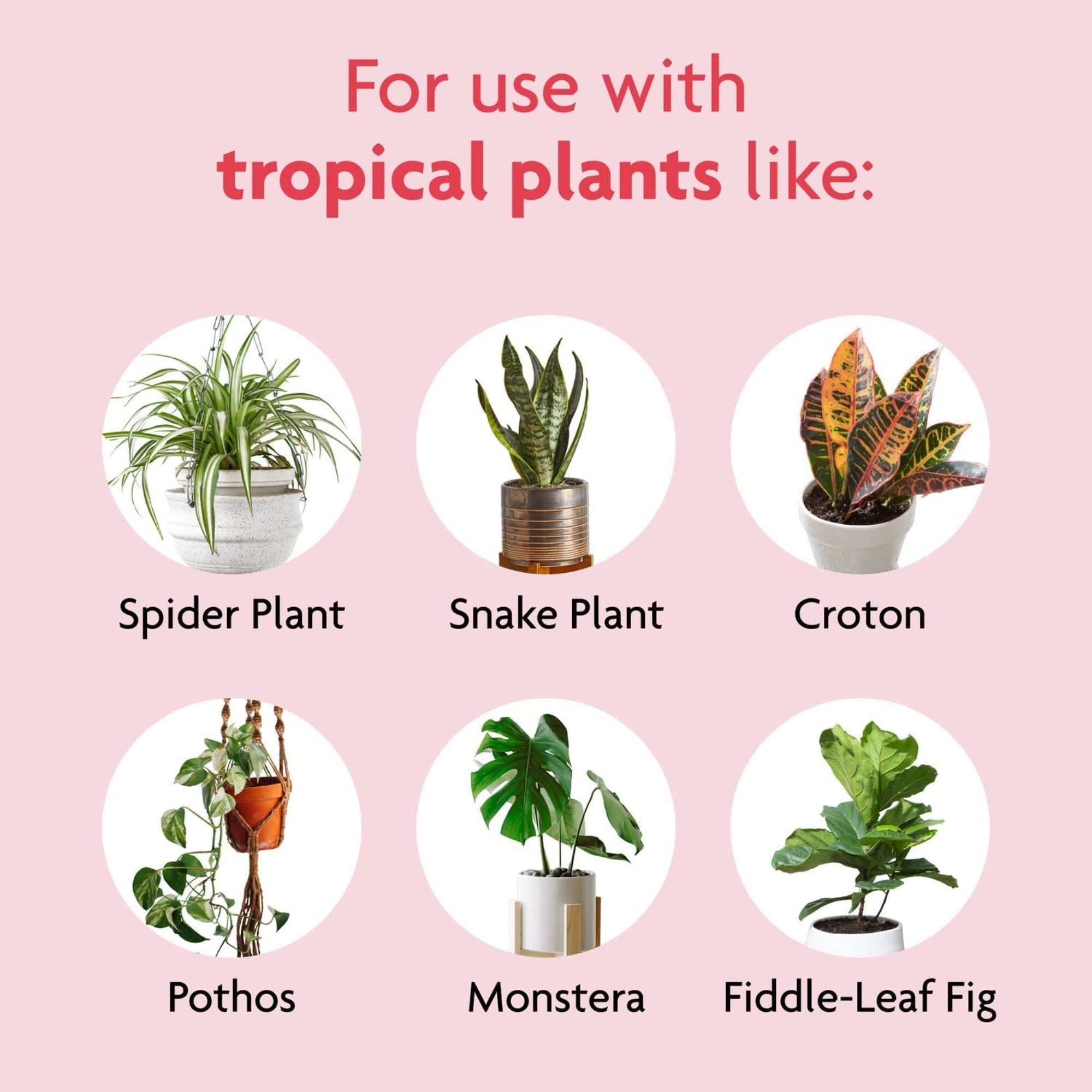 Miracle-Gro Tropical Houseplant Food - Liquid Fertilizer for Tropical Houseplants, 8 fl. oz.
