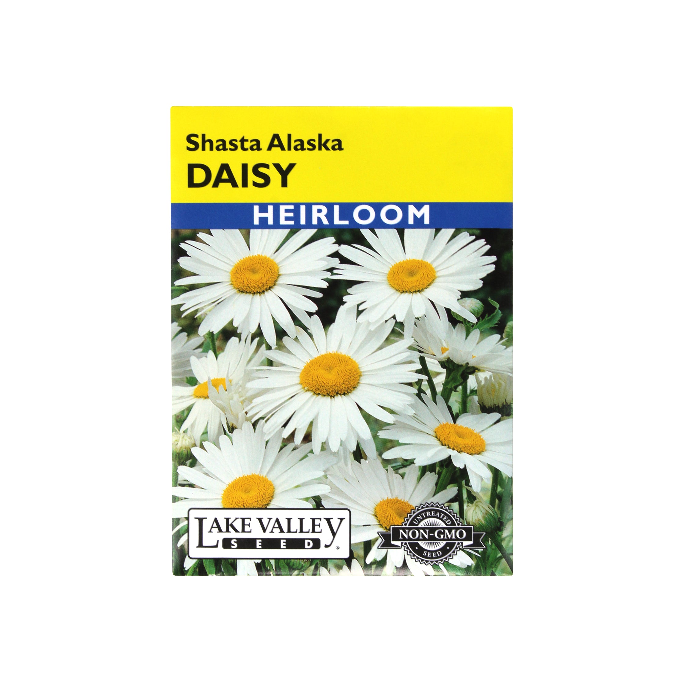 Lake Valley Seed Daisy, Shasta Alaska Heirloom, 0.4g