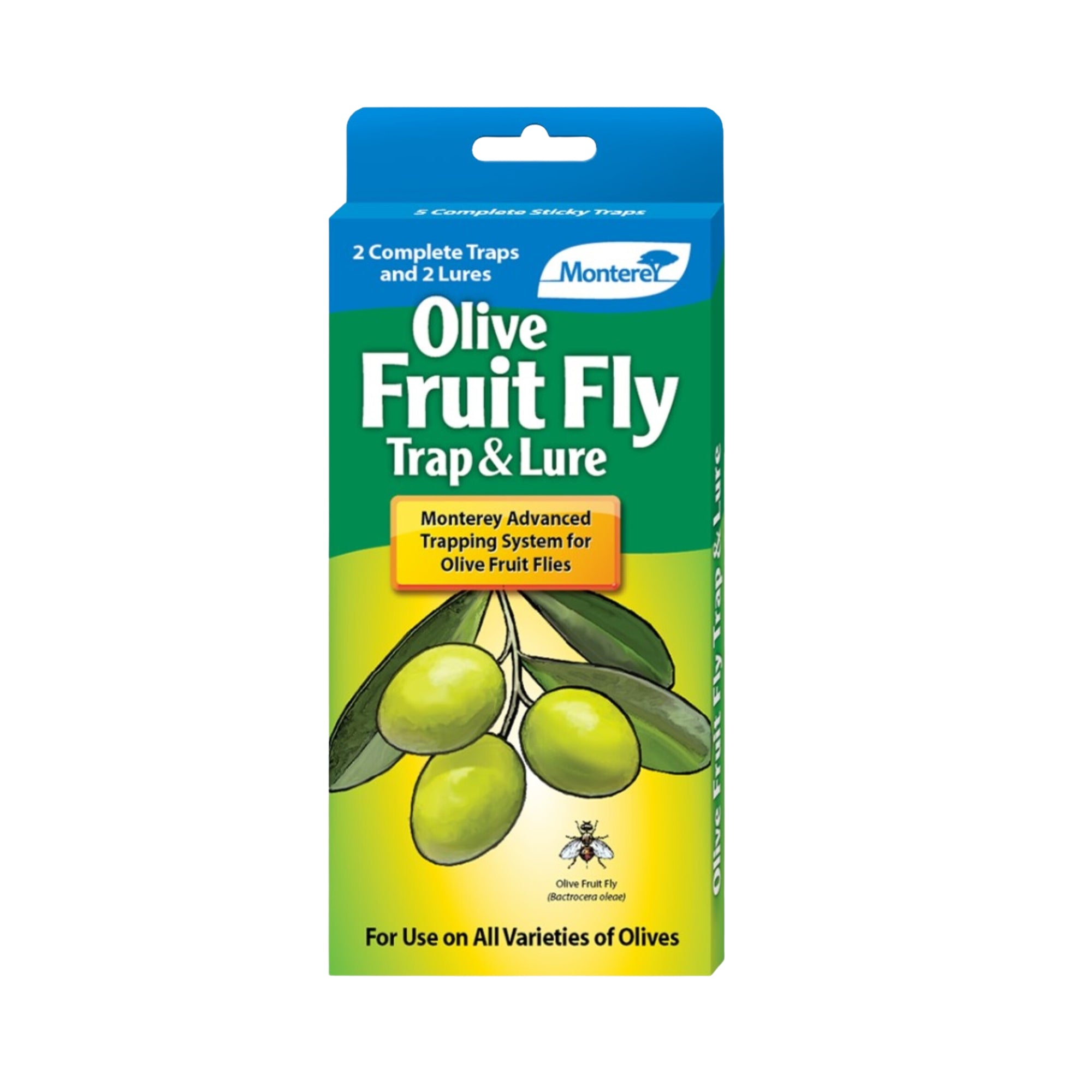 Monterey Olive Fruit Fly Trap and Lure For Olive Trees