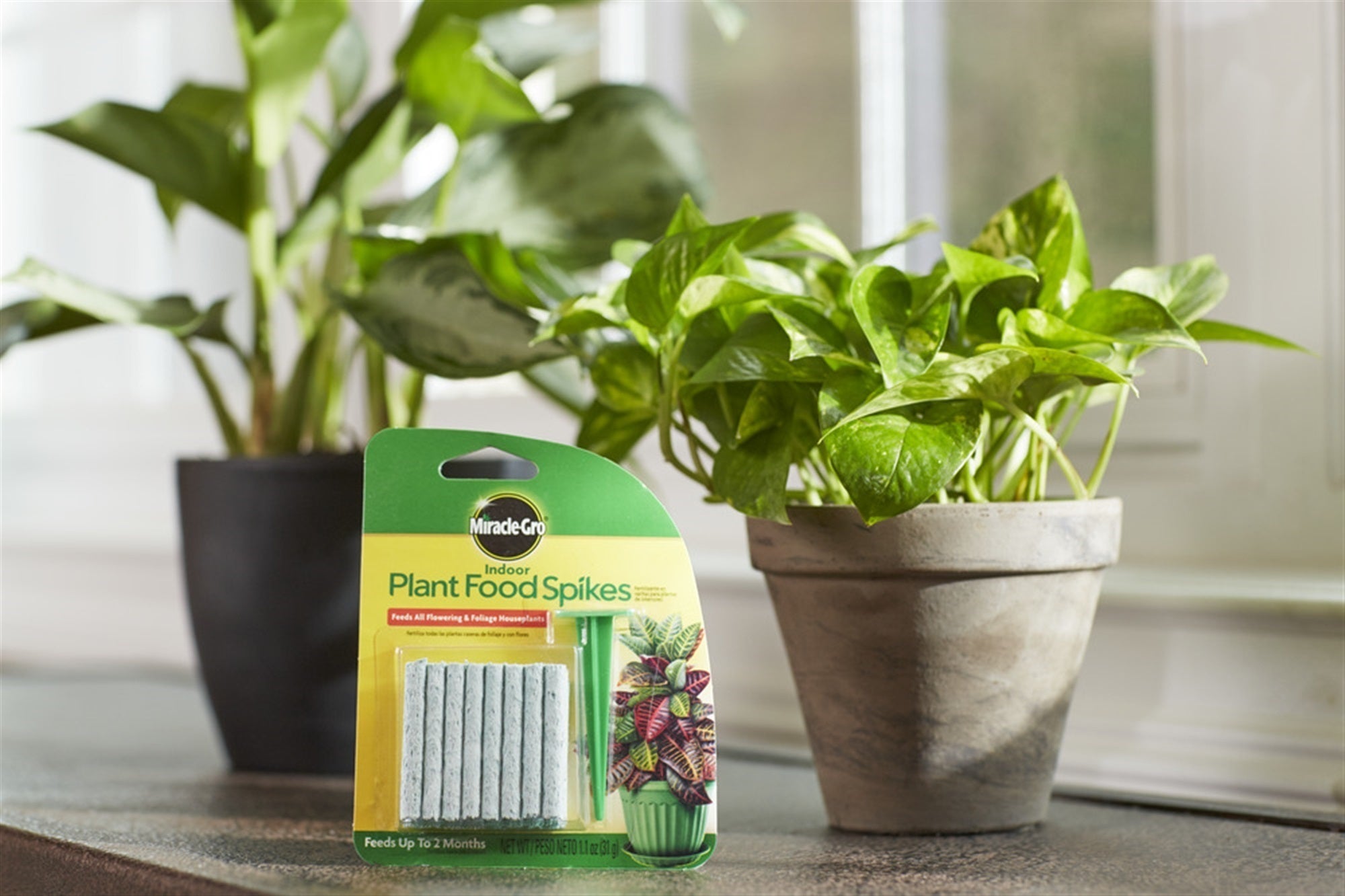 Miracle-Gro Indoor Plant Food Spikes, Pack of 24