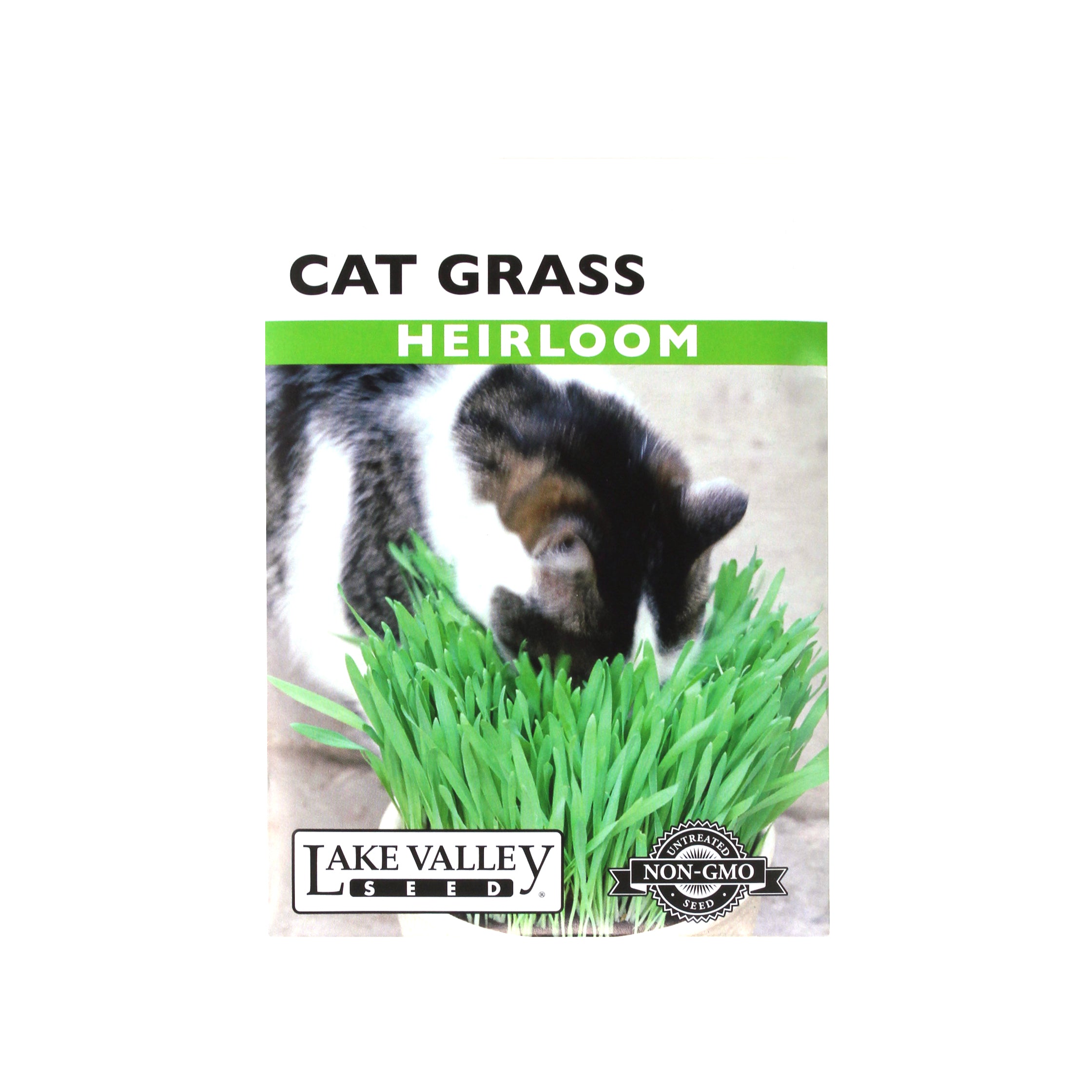 Lake Valley Seed Cat Grass Heirloom, 10g