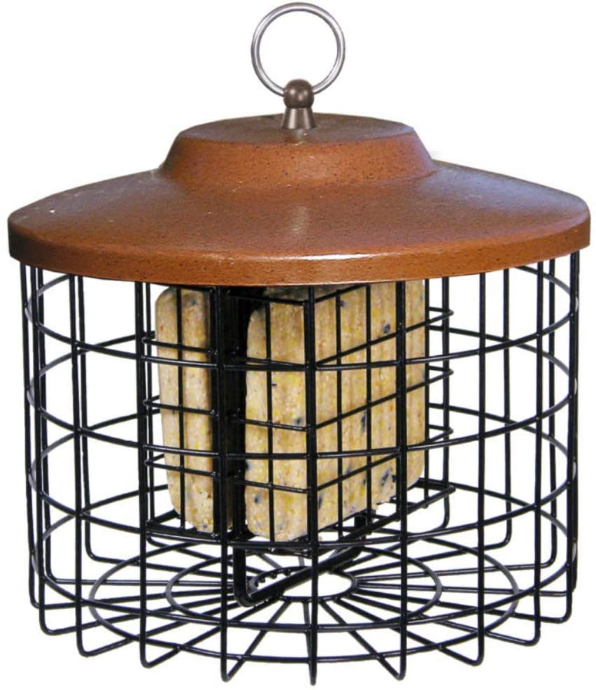 Squirrel-X Squirrel Proof Double Suet Feeder, Cage Bird Feeder, 2 Suet Cake Capacity