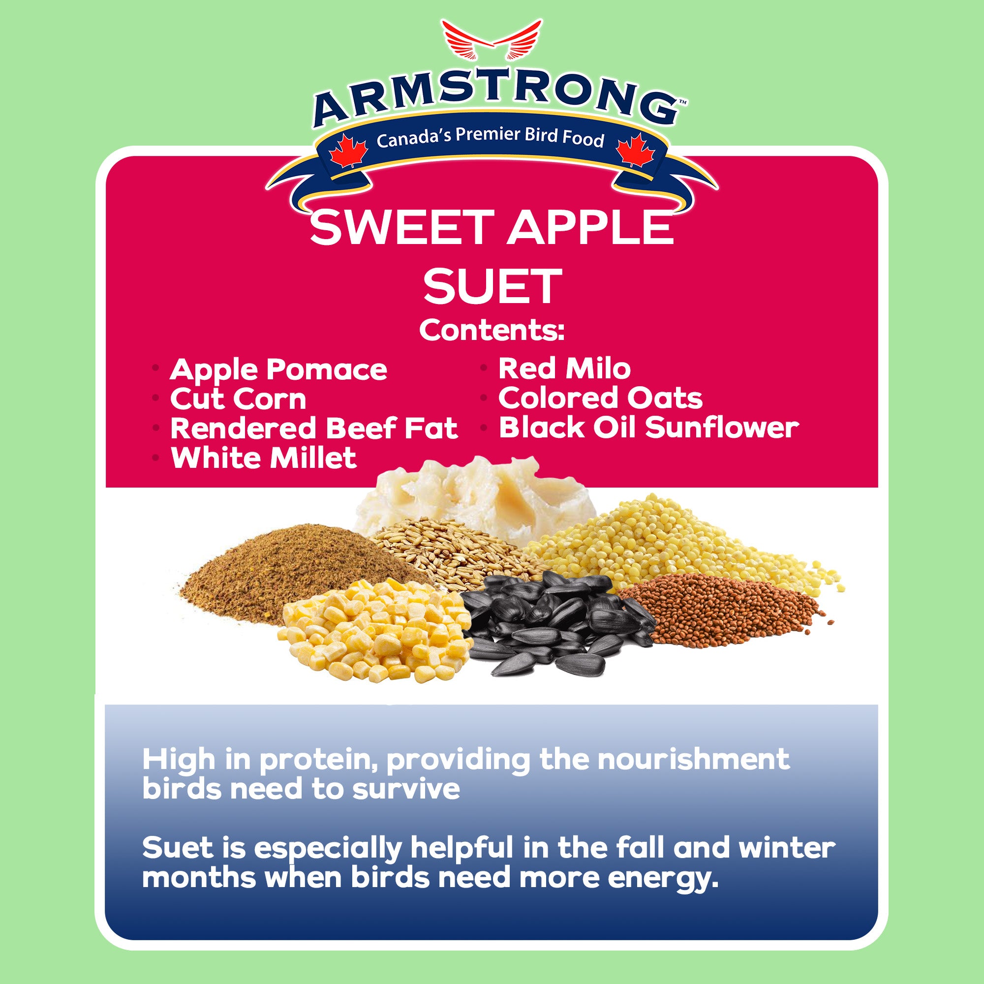 Armstrong Wild Bird Food Sweet Apple Suet Blend, 11.3oz (Pack of 12)
