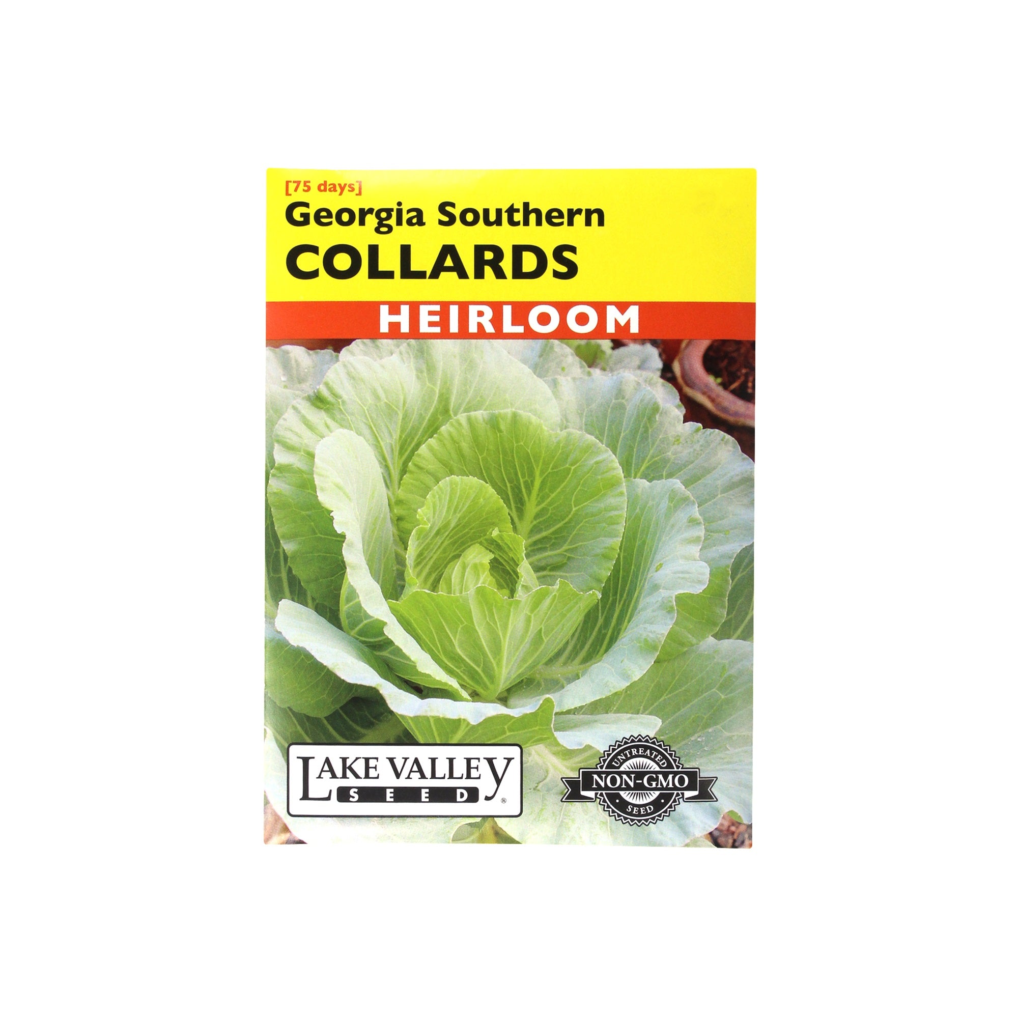 Lake Valley Seed Collards, Georgia Southern Heirloom