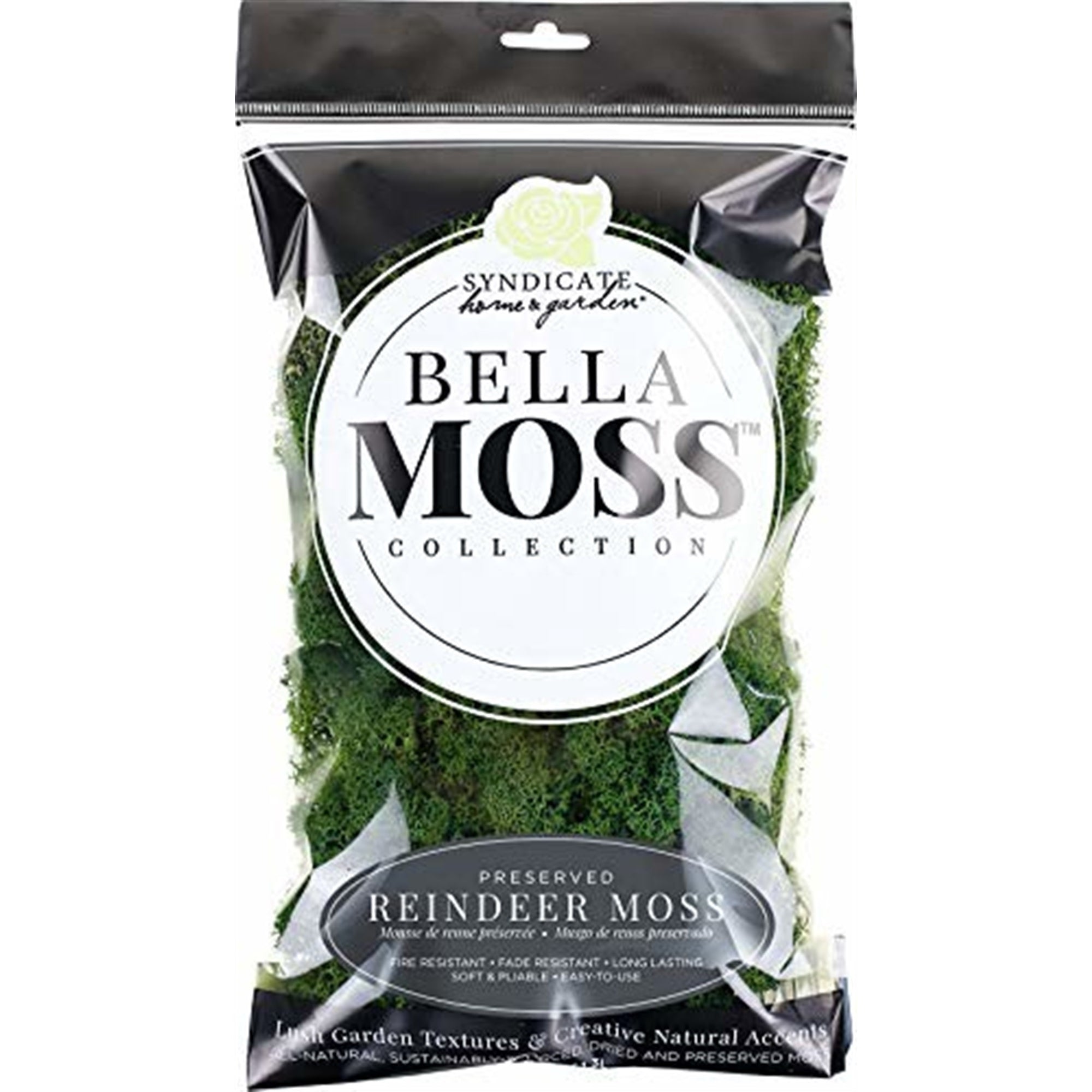 Bella Moss Preserved Reindeer Moss, Dark Green, 80 cu in.