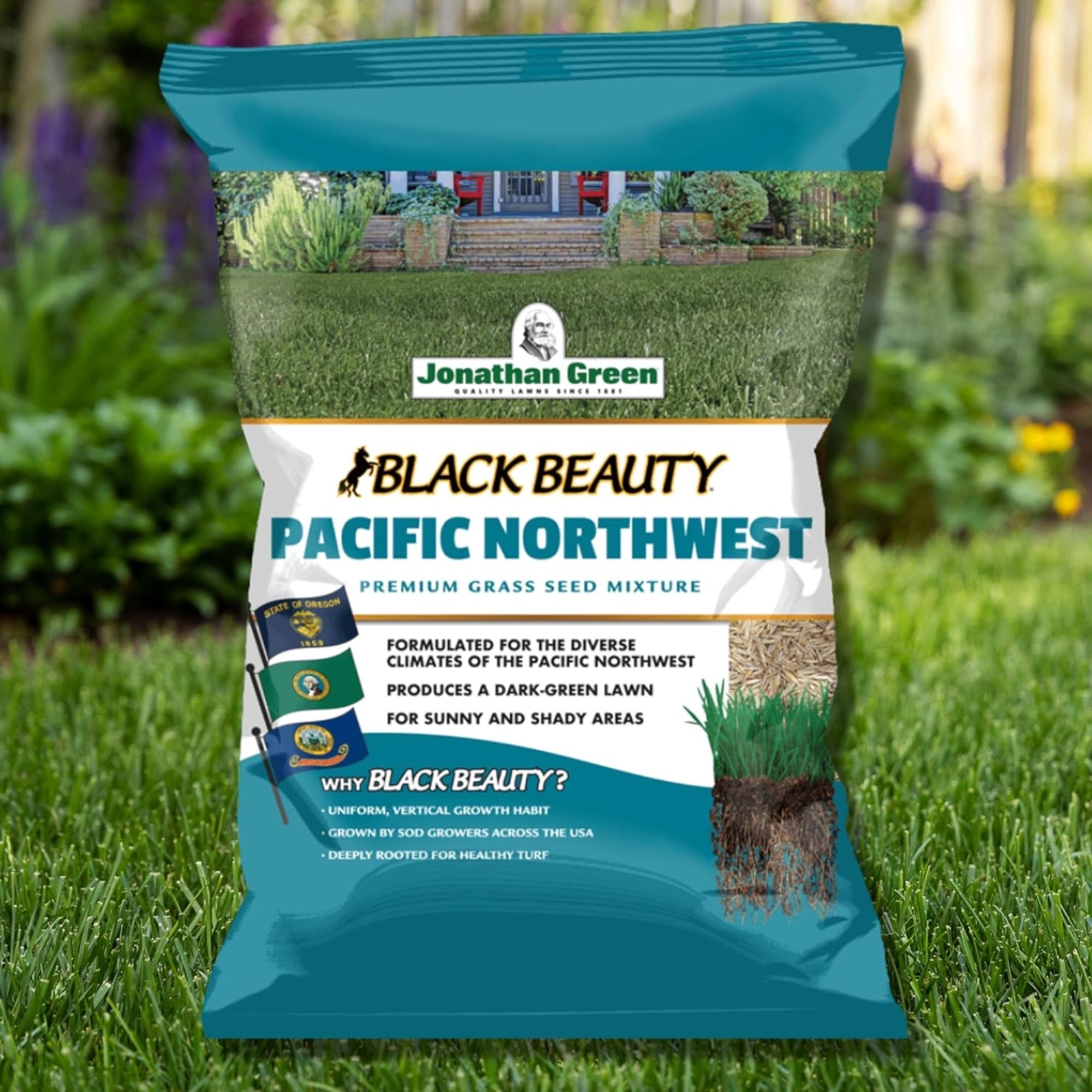 Jonathan Green Black Beauty Pacific Northwest Grass Seed Mixture (Made for Washington, Oregon, and Idaho) - Cool Season Lawn Seed