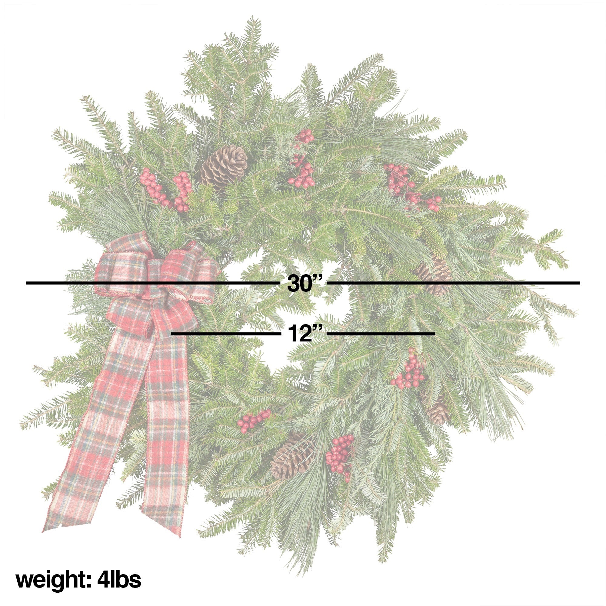 Garden Elements Fresh Christmas Live Frasier Fir Wreath with Bow & Accessories, Red Plaid, 22"