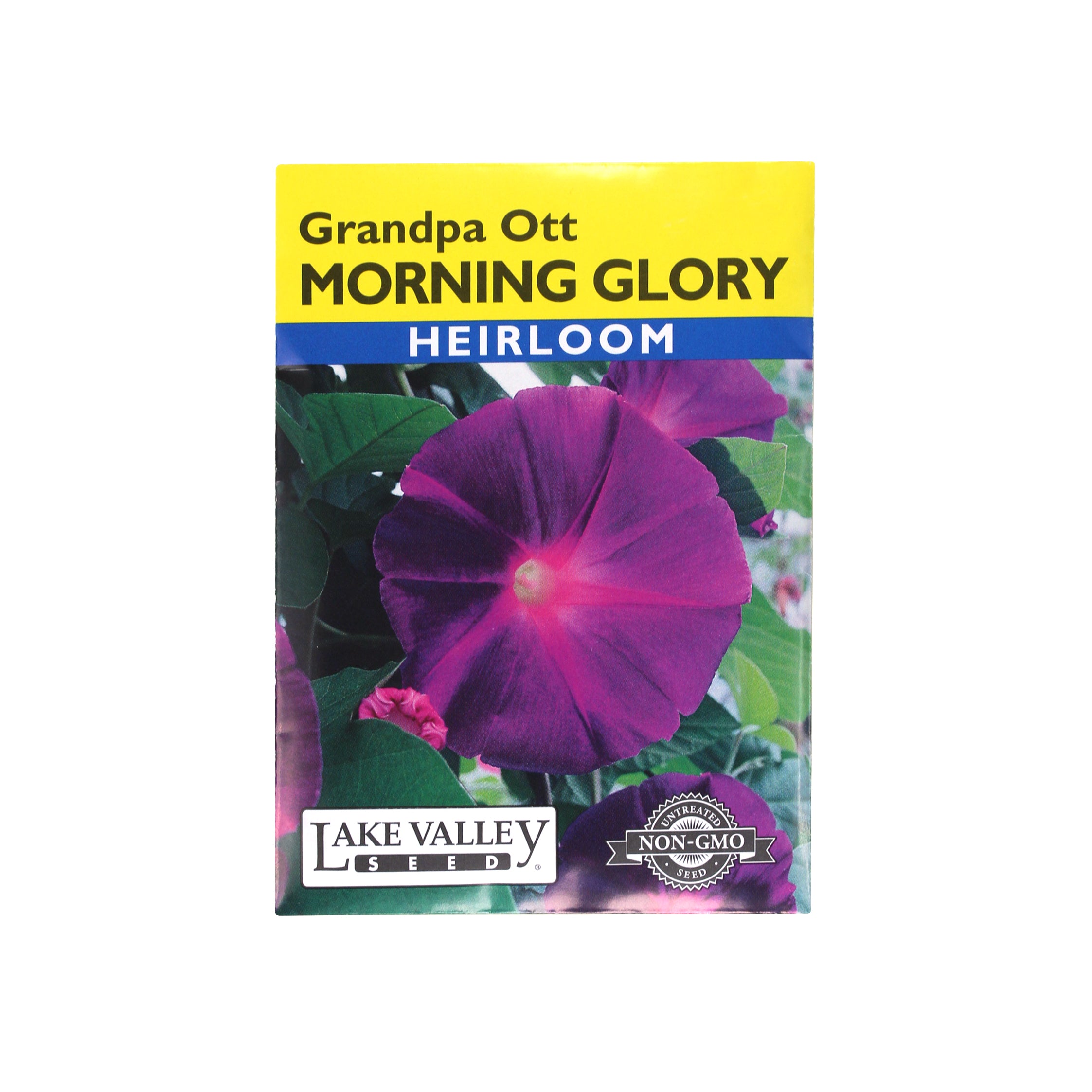 Lake Valley Seed Morning Glory Grandpa Ott Heirloom Flower, 1.5g