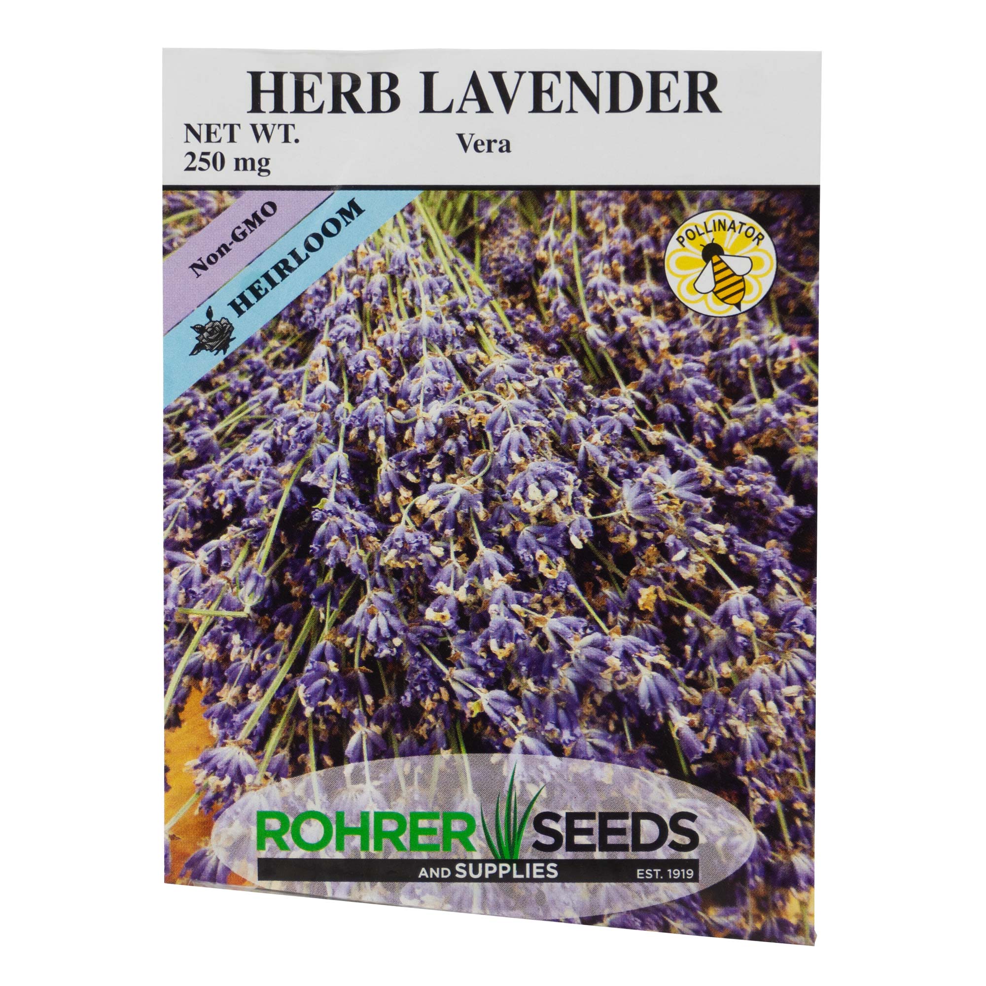 Rohrers Seed Herb Heirloom Non-GMO Lavender Vera Seeds Packet, 250mg (Approx. 300 Seeds/Packet)