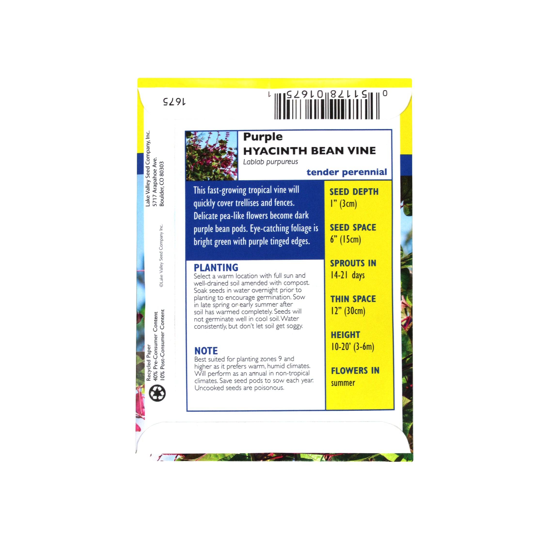 Lake Valley Seed Bean Vine Heirloom Hyacinth Flower, 40g