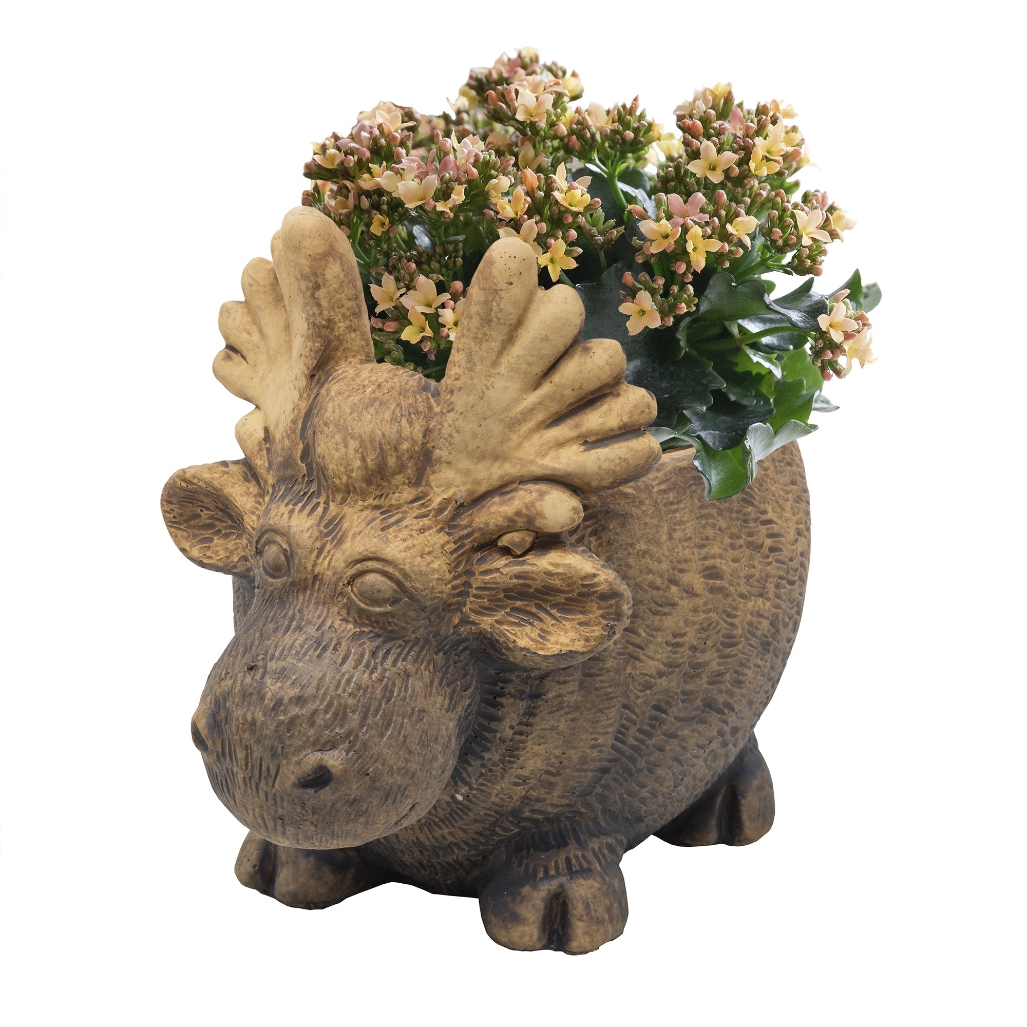 Classic Home and Garden Indoor Outdoor Cement Moose Planter, Brown, 7"