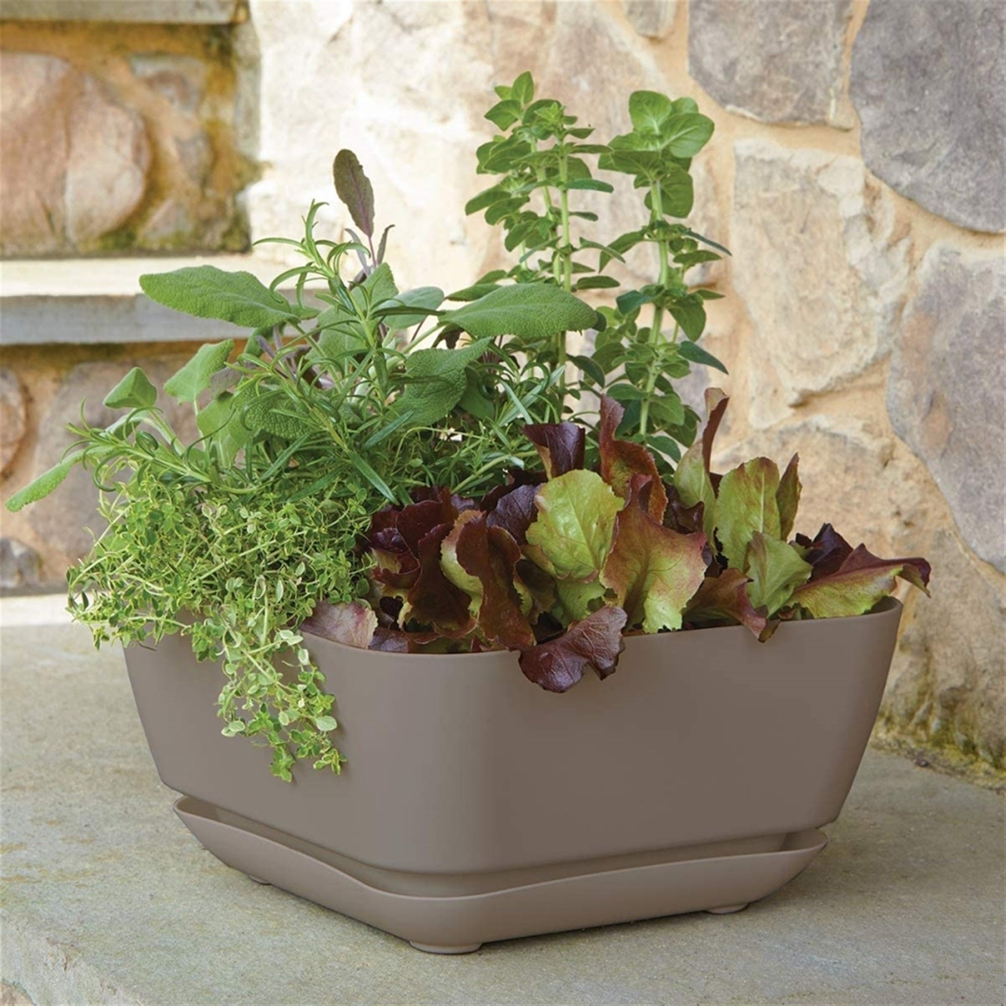 Novelty (#10023) Garden Square Out/Indoor Resin Planter Flower Pot, Taupe, 12"