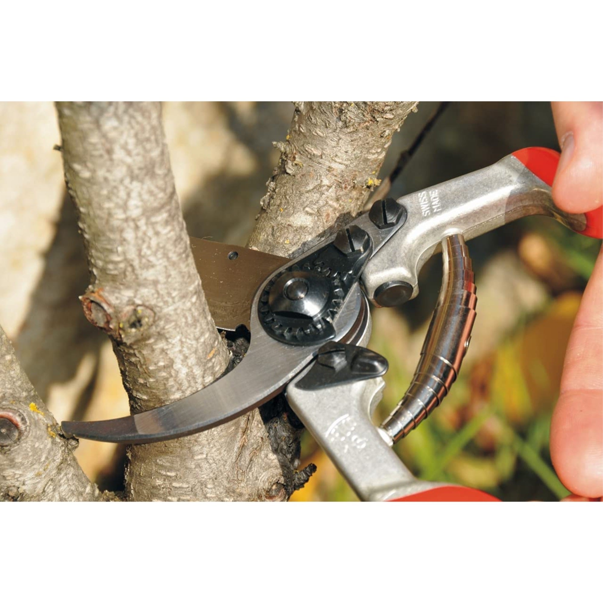 Felco F13 One or Two-Hand Garden Pruner with Steel Blade