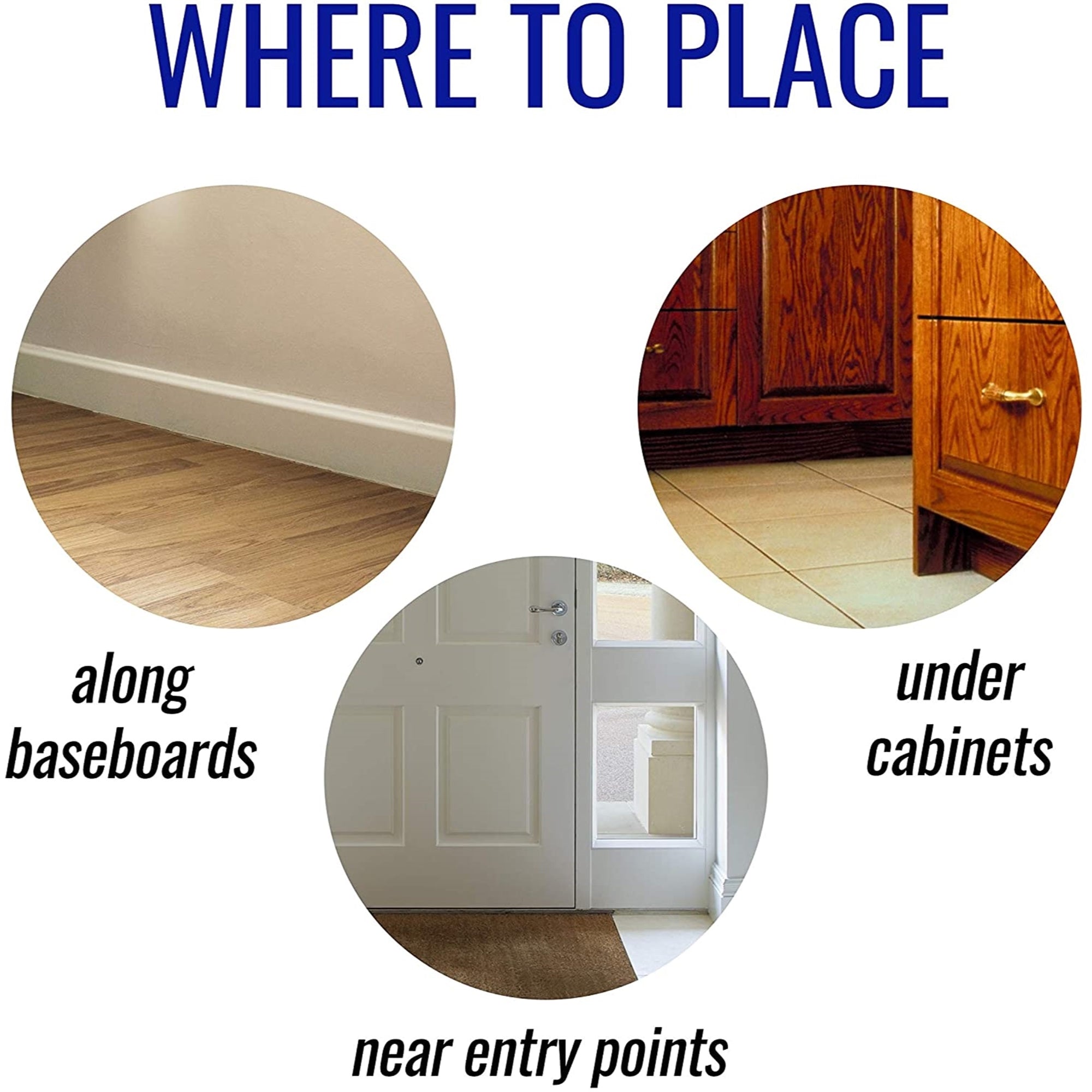 TERRO Liquid Ant Killer, 1 oz (pack of 1)