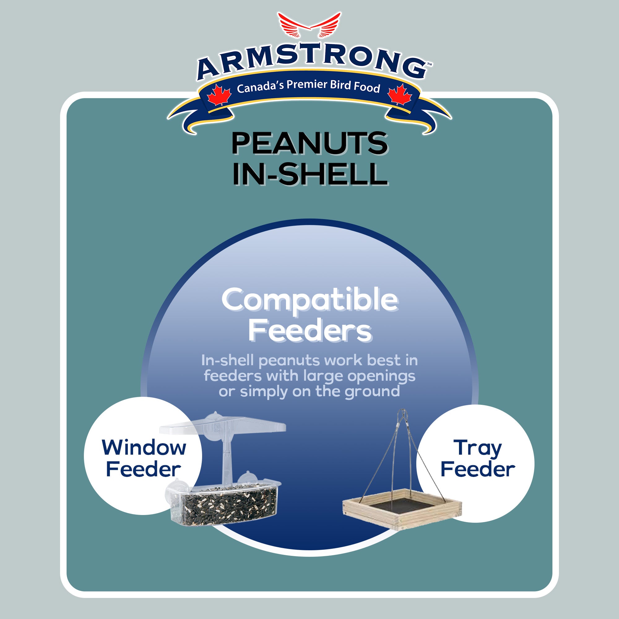 Armstrong Wild Bird Food Peanuts-In-Shell