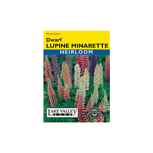 Lake Valley Seed Lupine Minarette, Dwarf Mixed Colors Heirloom, 1g
