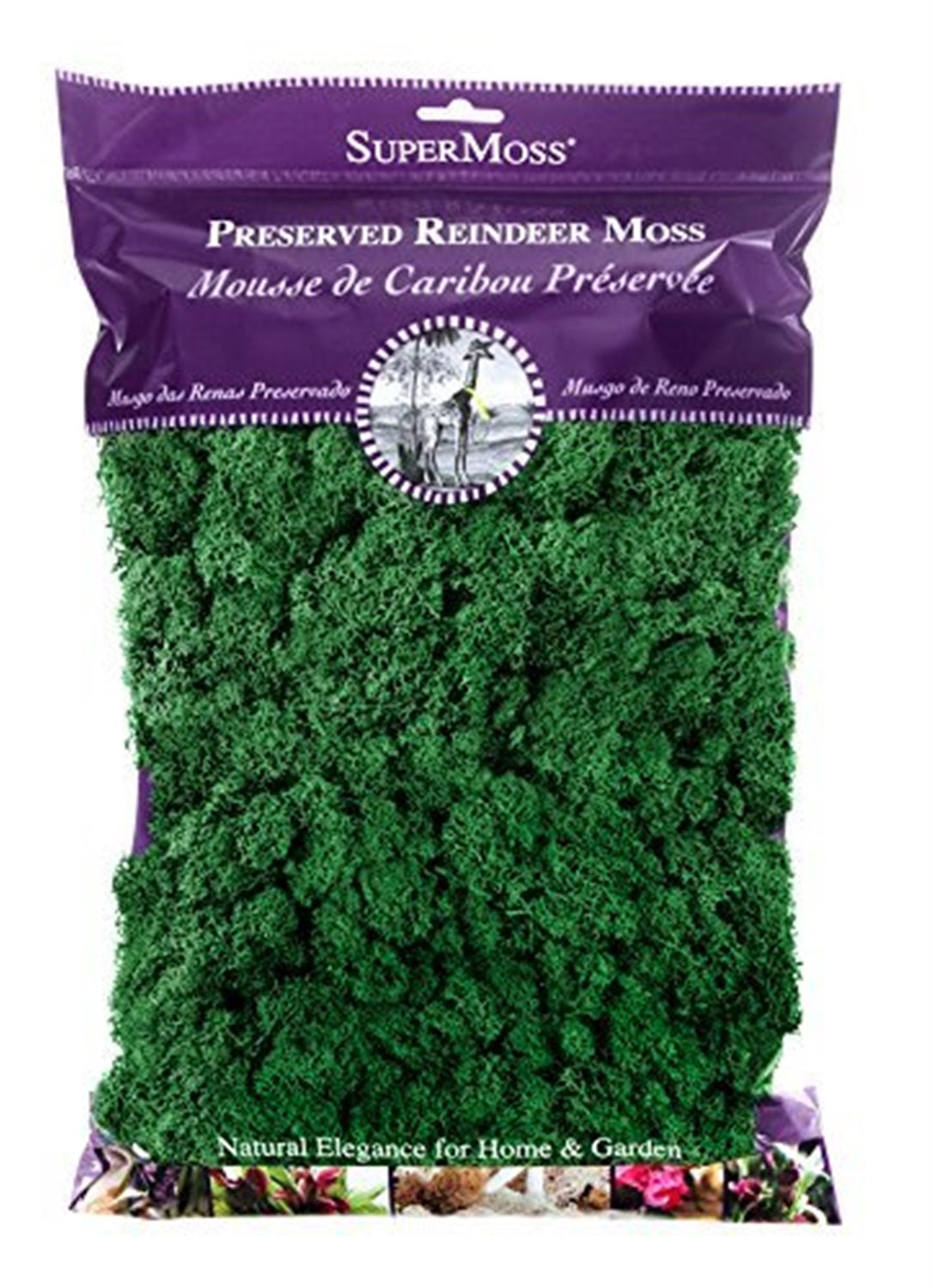 SuperMoss Preserved Reindeer Moss, Forest, 8oz bag (200 cubic inch)