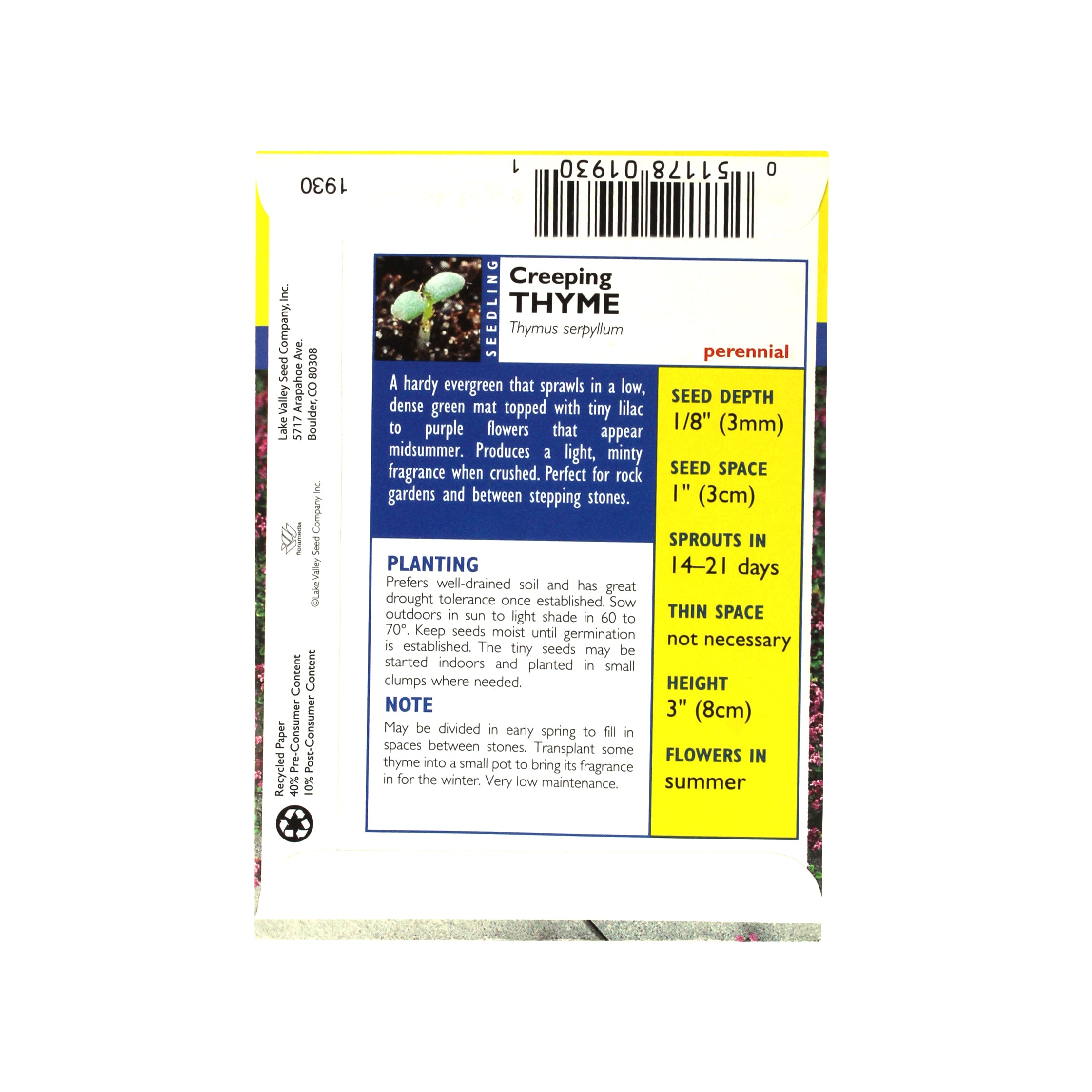 Lake Valley Seed Thyme Creeping Heirloom Herb, 0.15g