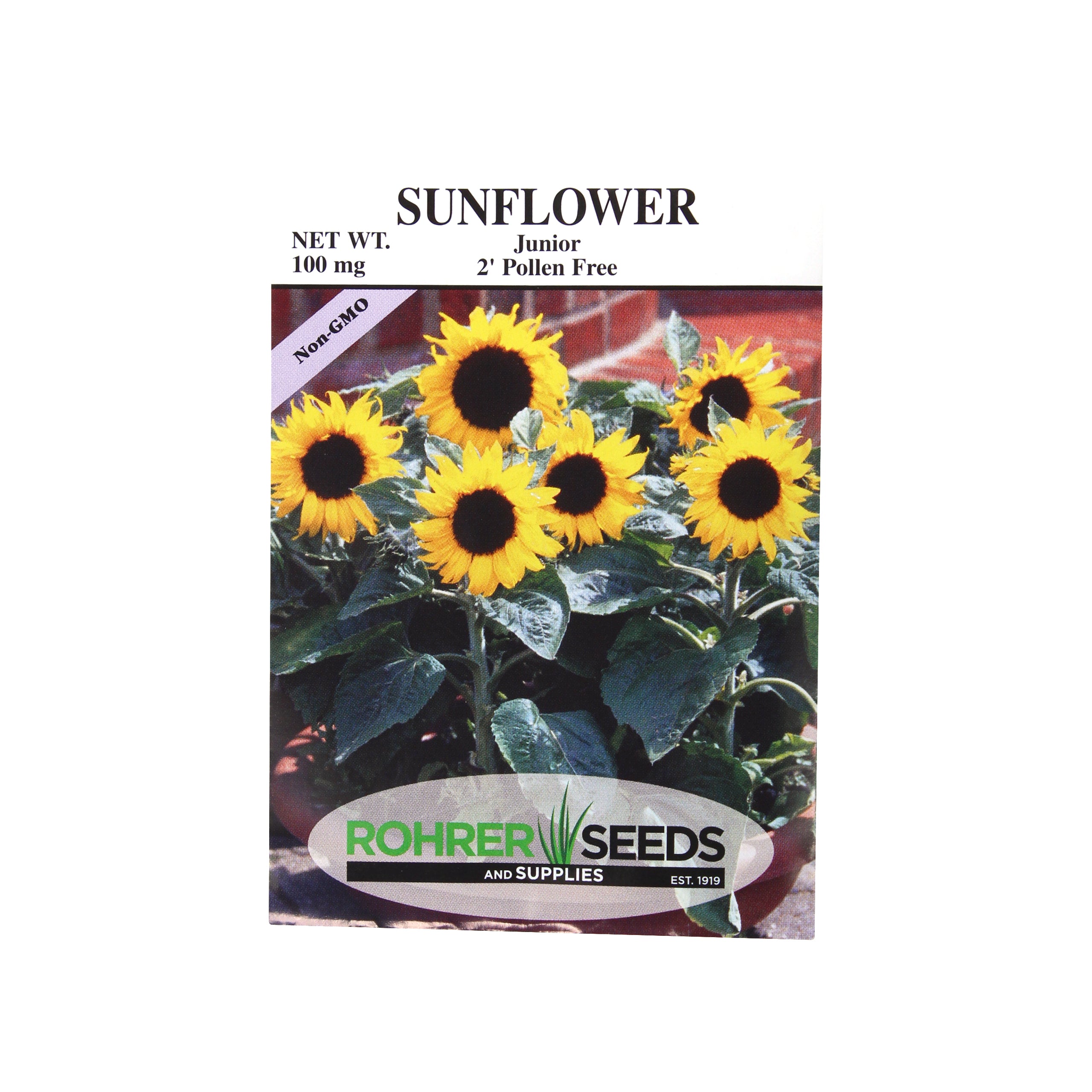 Rohrer Seeds Sunflower, Junior 2' Pollen Free, 100mg