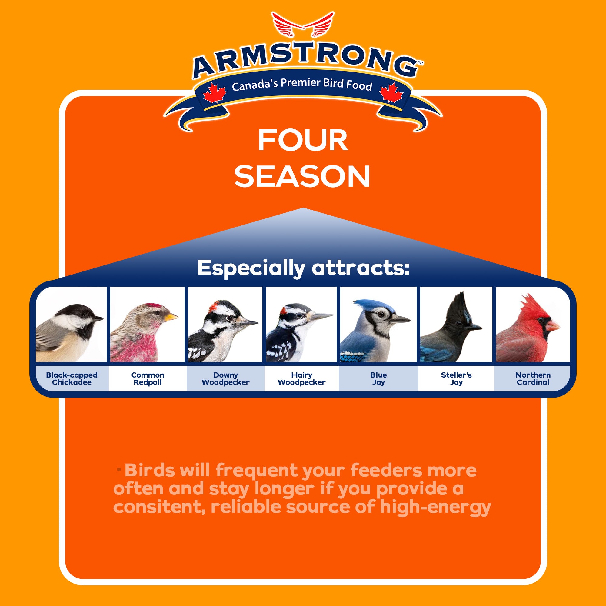 Armstrong Wild Bird Food Four Season Suet Blend, 11.3oz (Pack of 12)