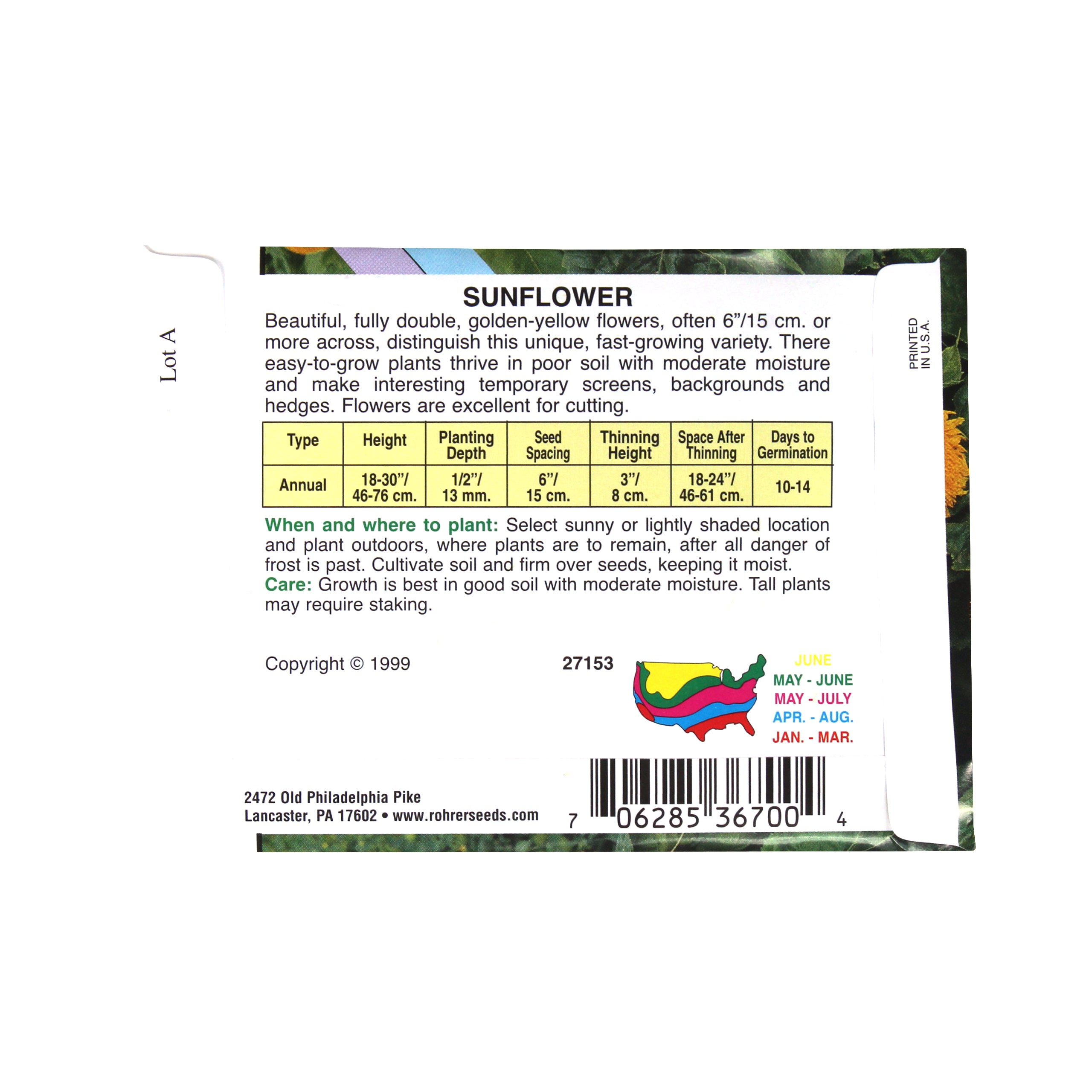 Rohrer Seeds Teddy Bear Sunflower, 2g, Approx 100/Packet