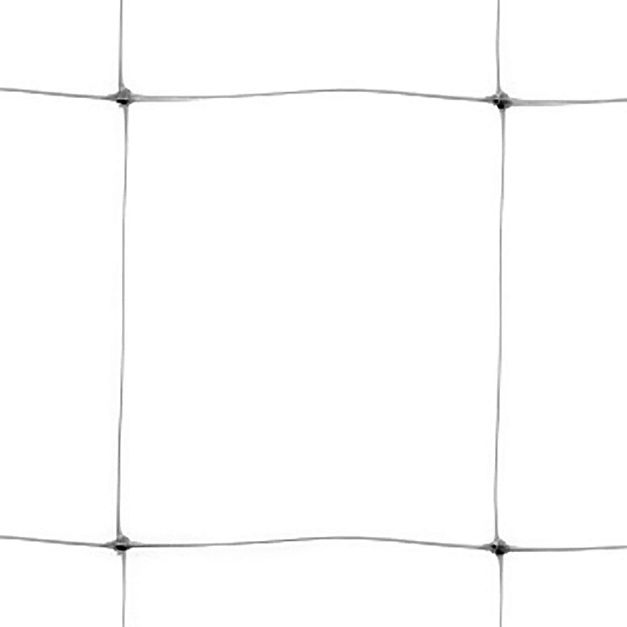 Tenax Hortonova Trellis Plant Net/Support, White 6.5' x 100'