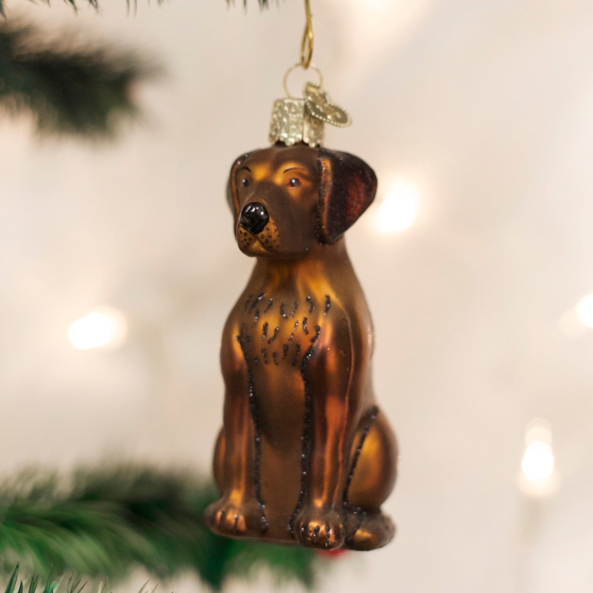 Old World Christmas Glass Blown Chocolate Labrador Ornament