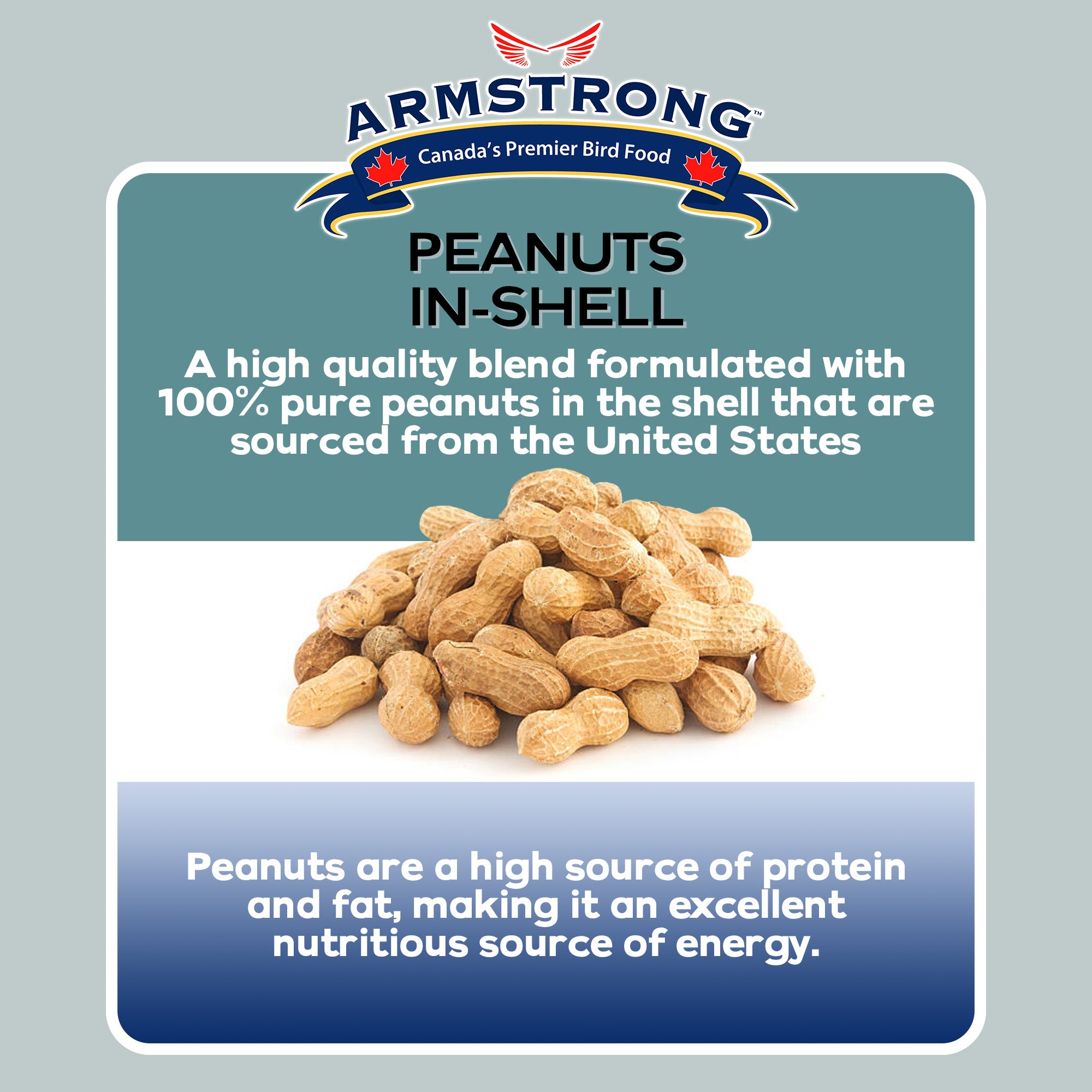 Armstrong Wild Bird Food Peanuts-In-Shell