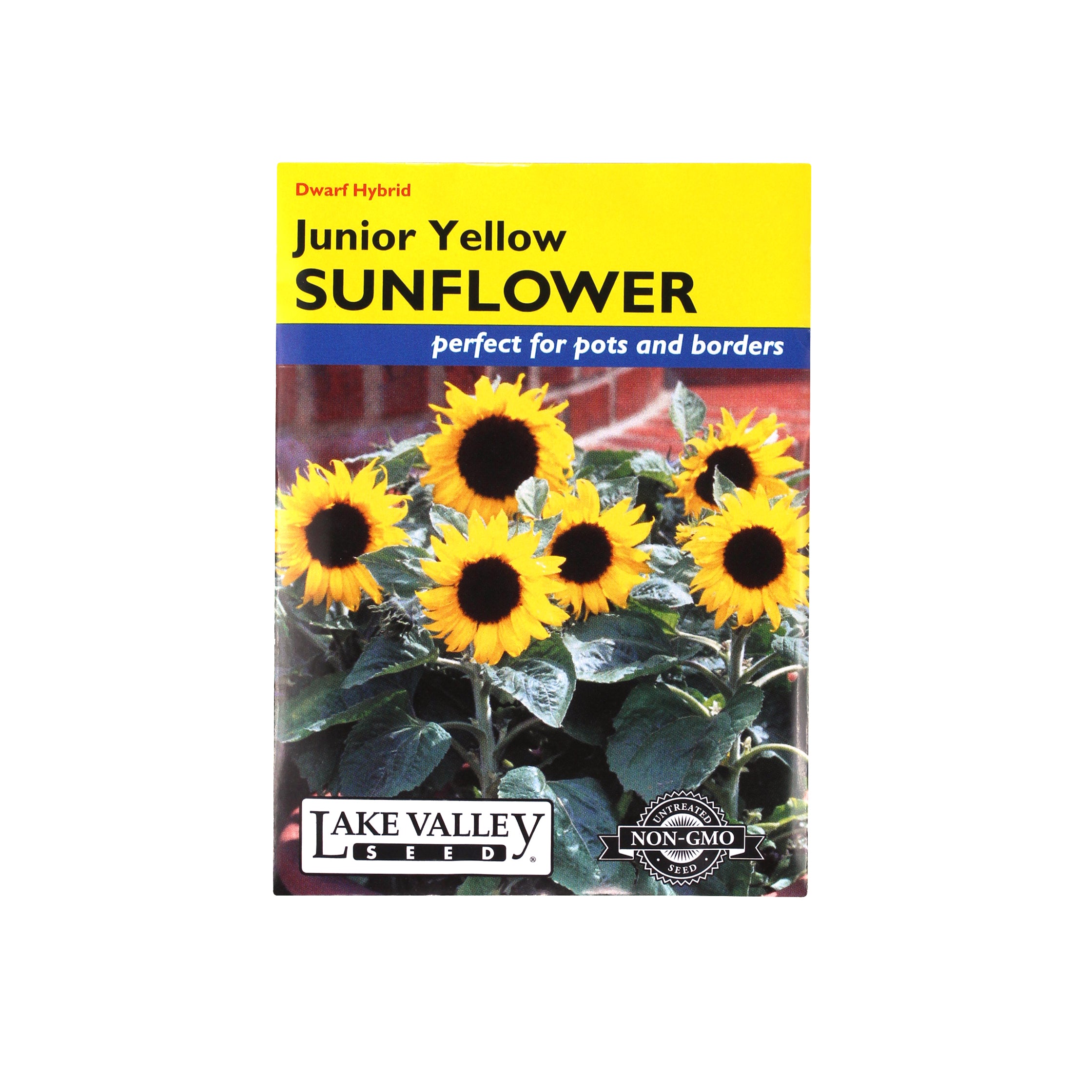 Lake Valley Seed Sunflower Junior Yellow, 1g