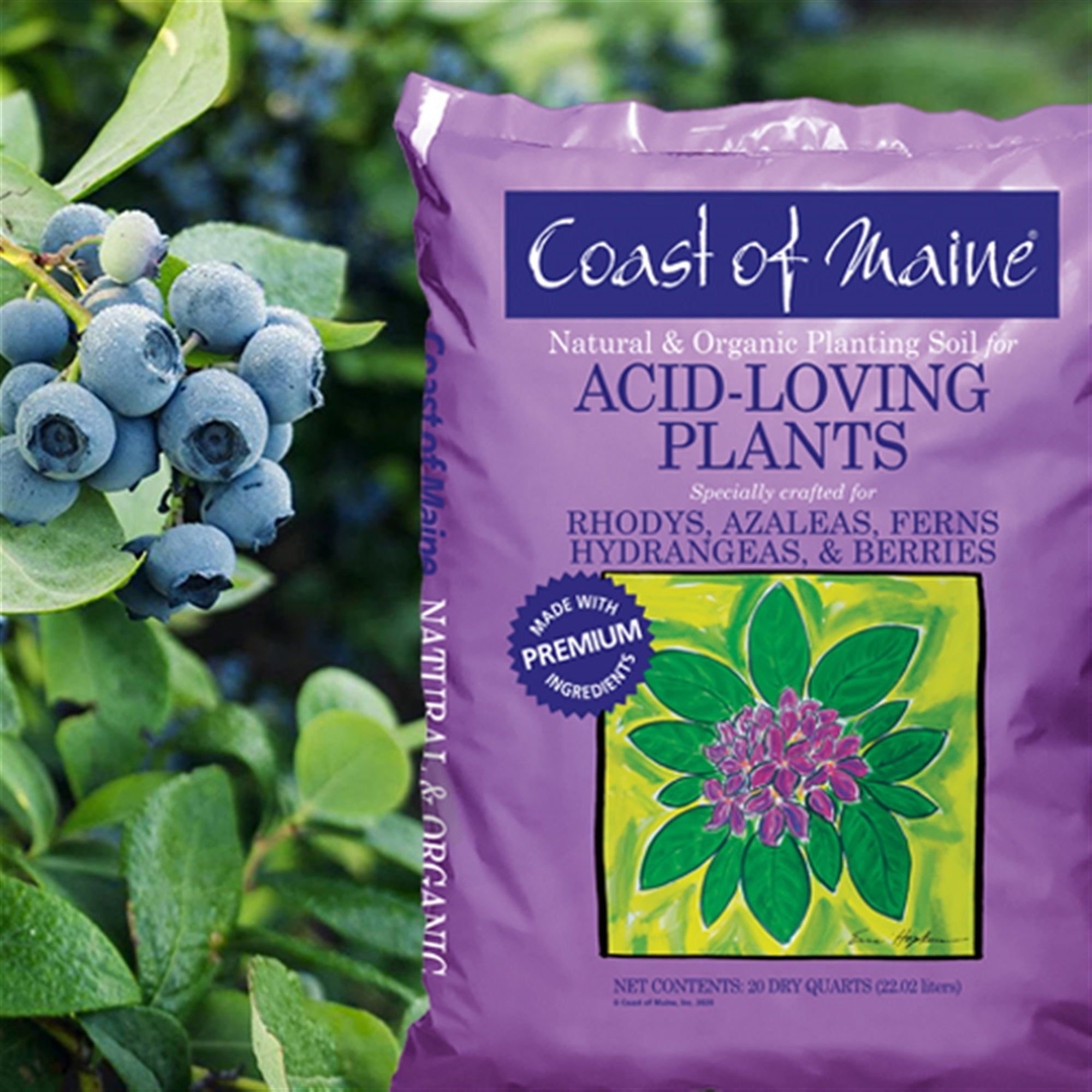 Coast of Maine Organic & Natural Planting Soil for Acid-Loving Plants, 20 QT