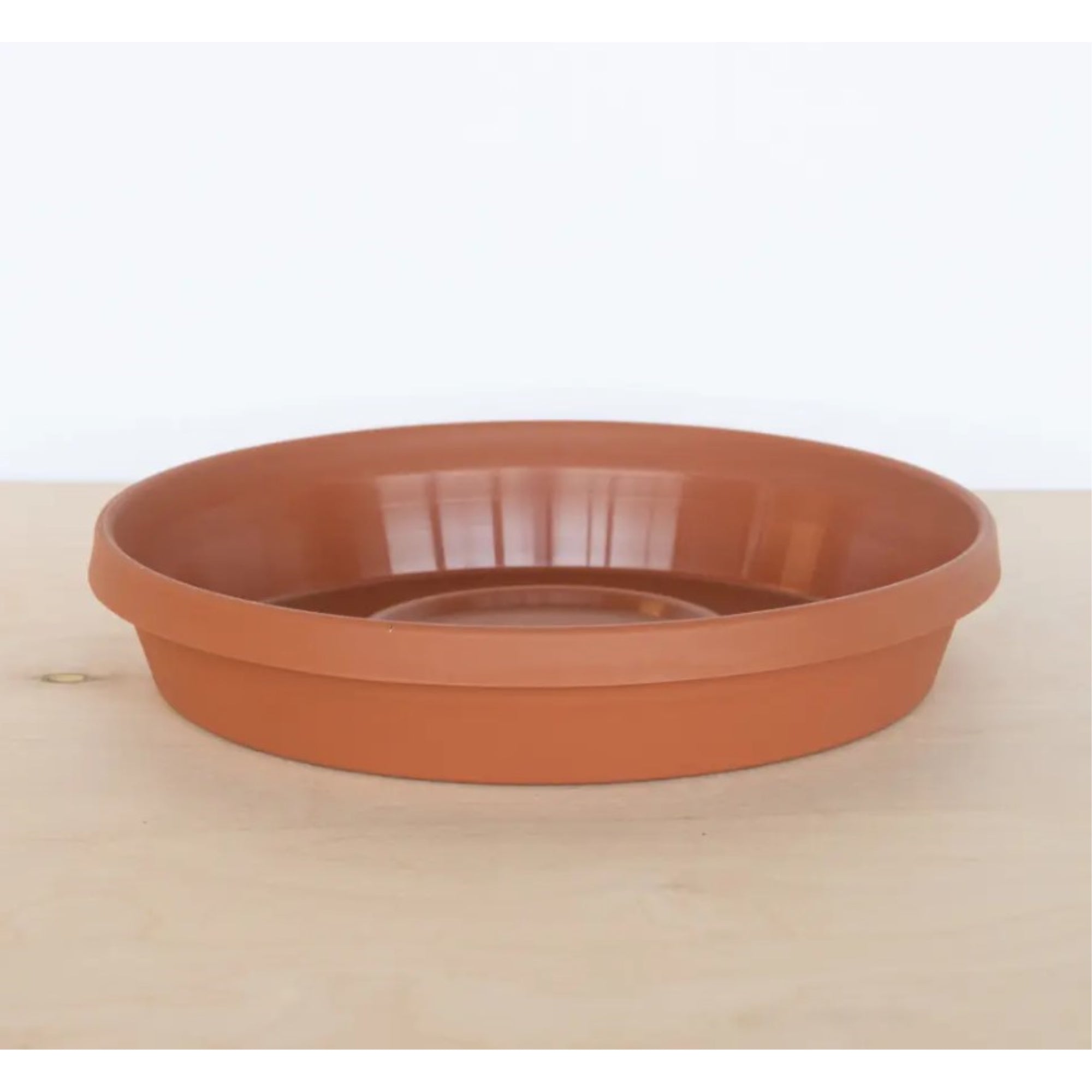 Bloem Terra Indoor/Outdoor Round Plastic Saucer Tray for Planters and Pots