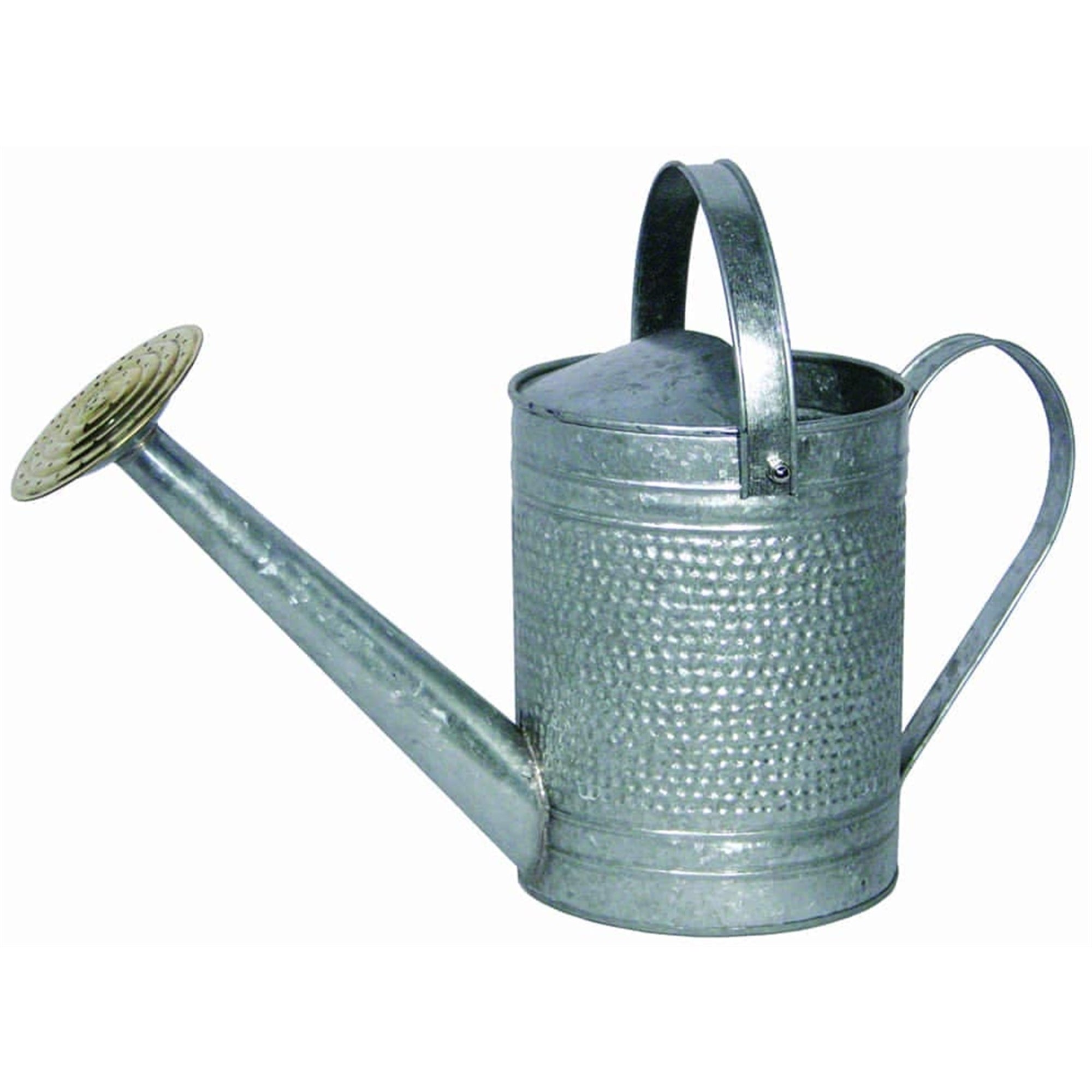 Robert Allen Home & Garden Jameson Metal Watering Can, Galvanized, 1 Gallon