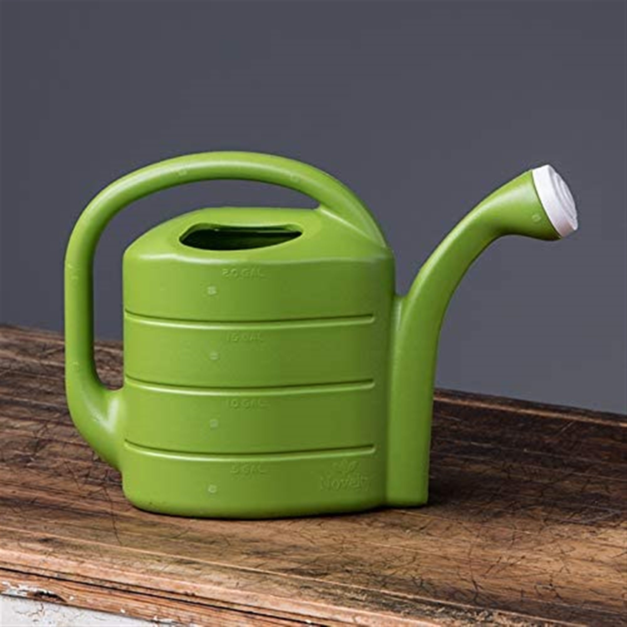 Novelty Plastic Deluxe Watering Can, Green, 2 Gallons