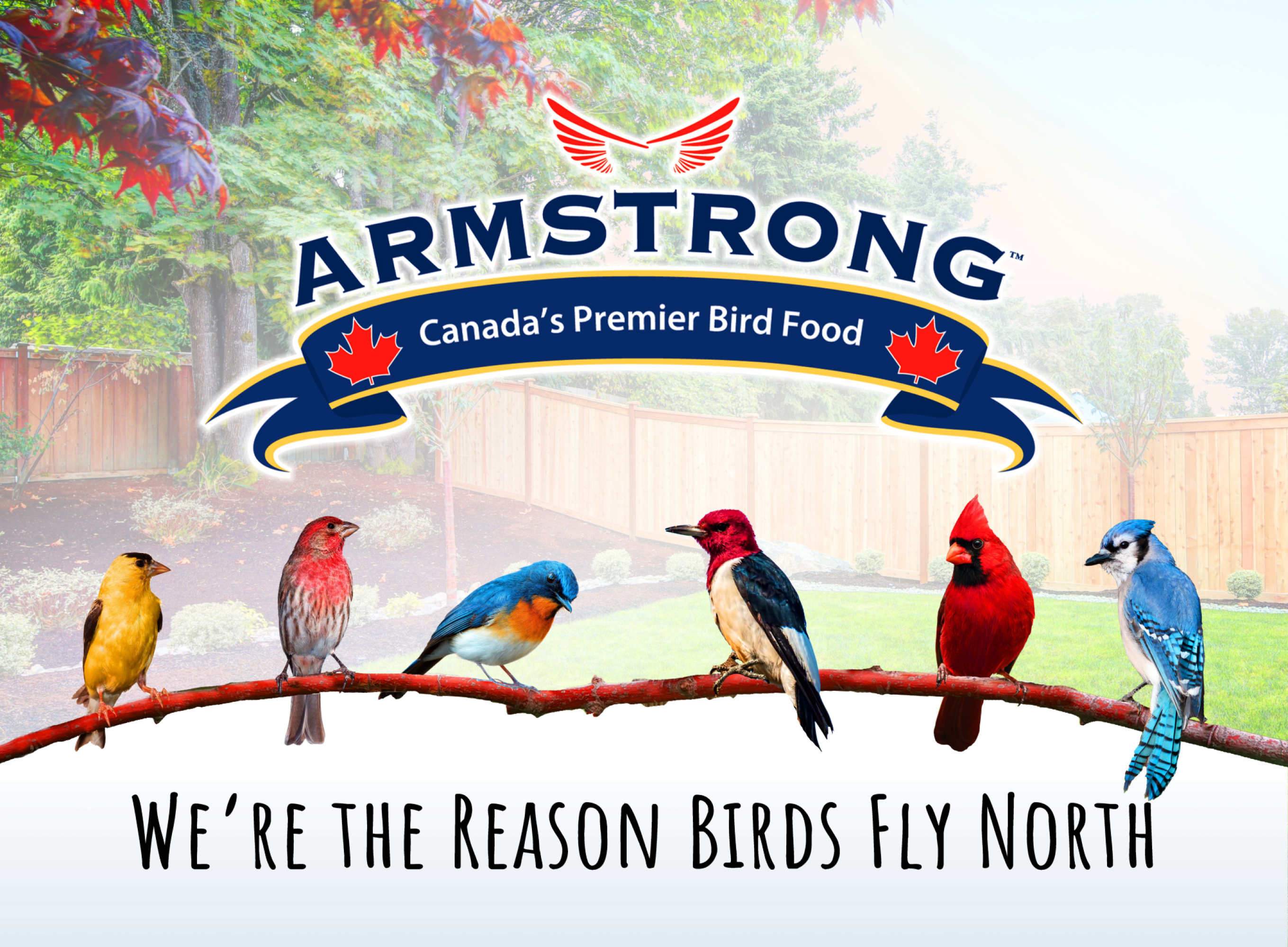 Armstrong Wild Bird Food Royal Jubilee Brilliance Bird Seed Blend For Northern Cardinals, 3lb Jug