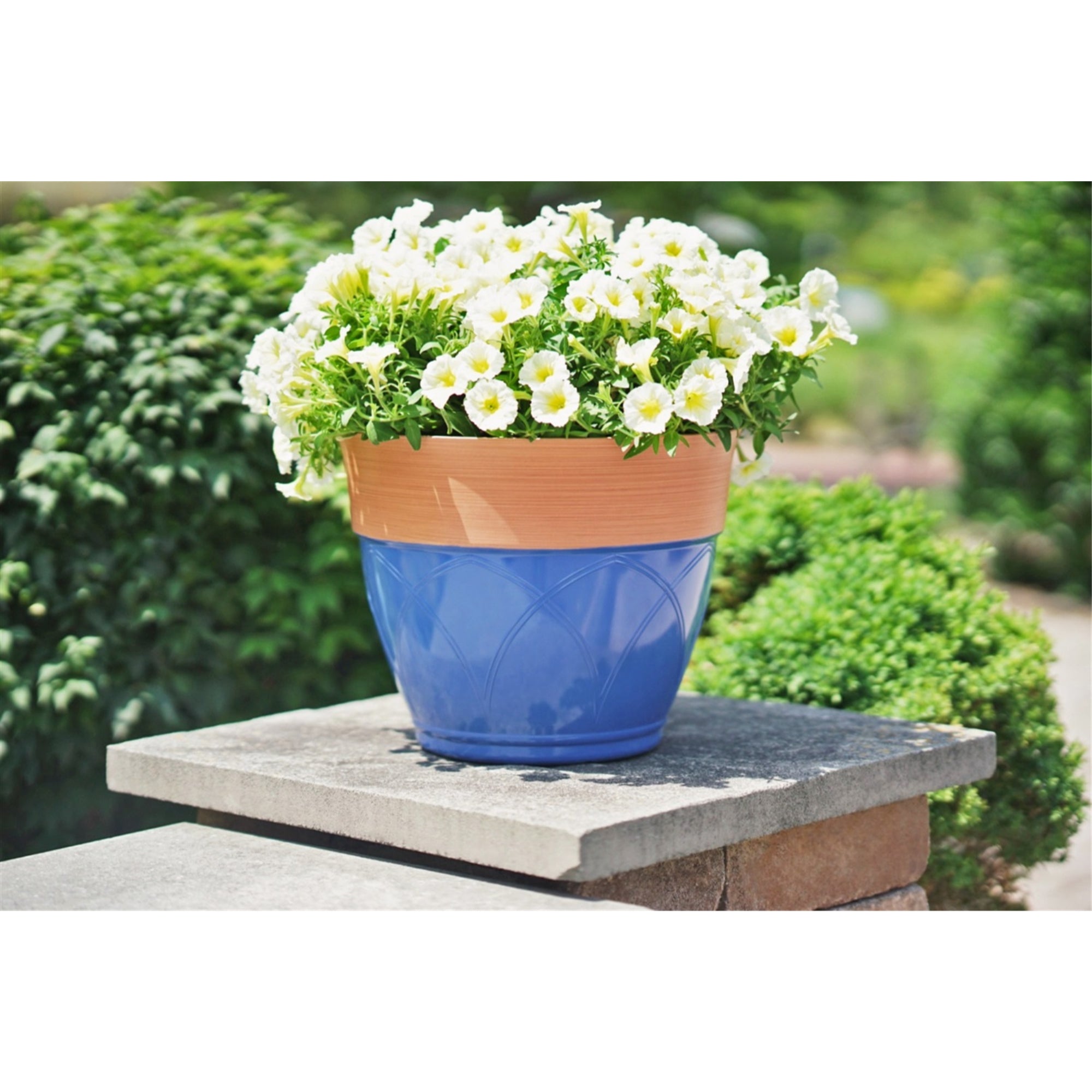 Garden Elements Colored Rim Large Plastic Planter, 15"