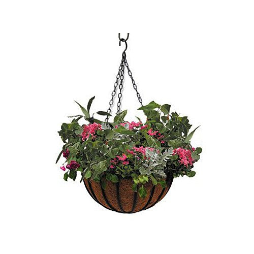 Border Concepts Liberty Hanging Basket, 12-Inch, Black