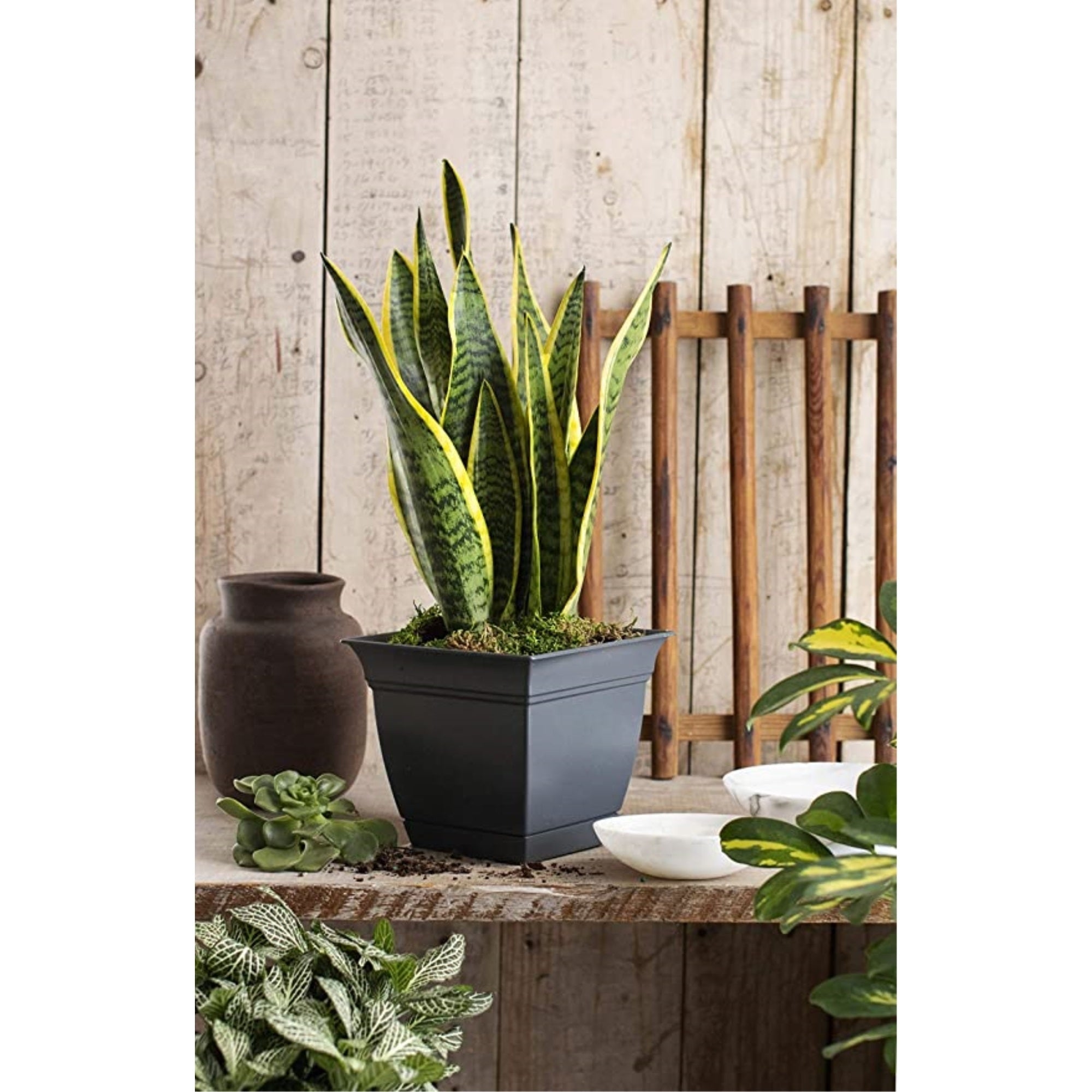 The HC Comp Indoor/Outdoor Plastic Eclipse Square Planter with Attached Saucer, 8"
