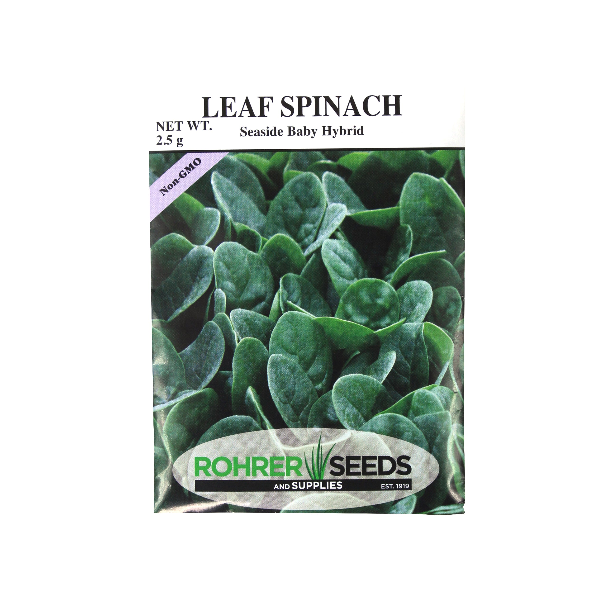Rohrer Seeds Leaf Spinach, Seaside Baby Hybrid, 2.5g, Approx 225 Seeds/Packet